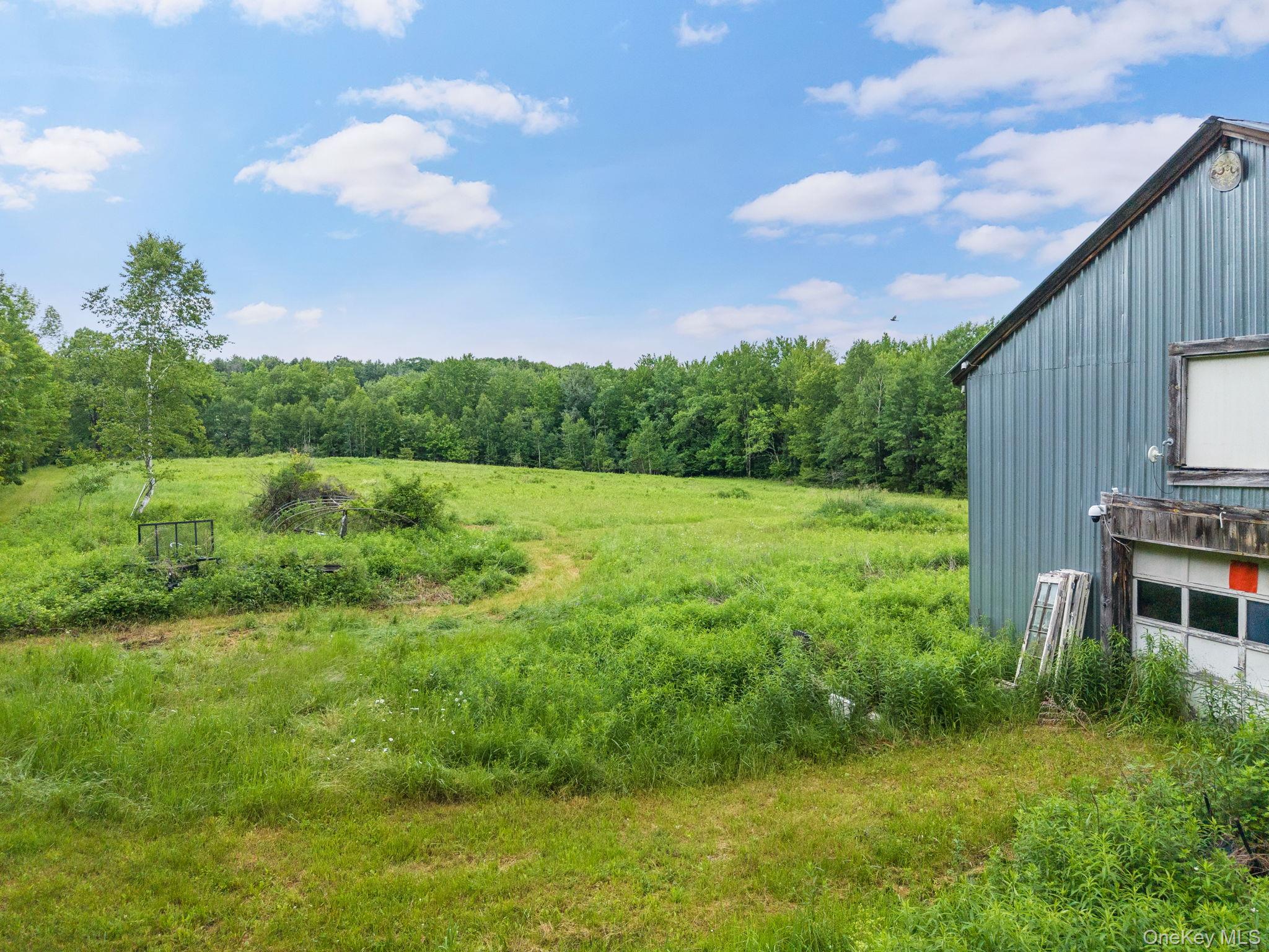 159 Ely Rd, Gilboa Ny Property Photo 46