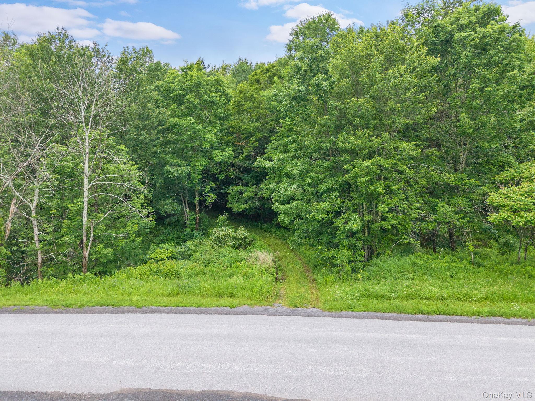 159 Ely Rd, Gilboa Ny Property Photo 48