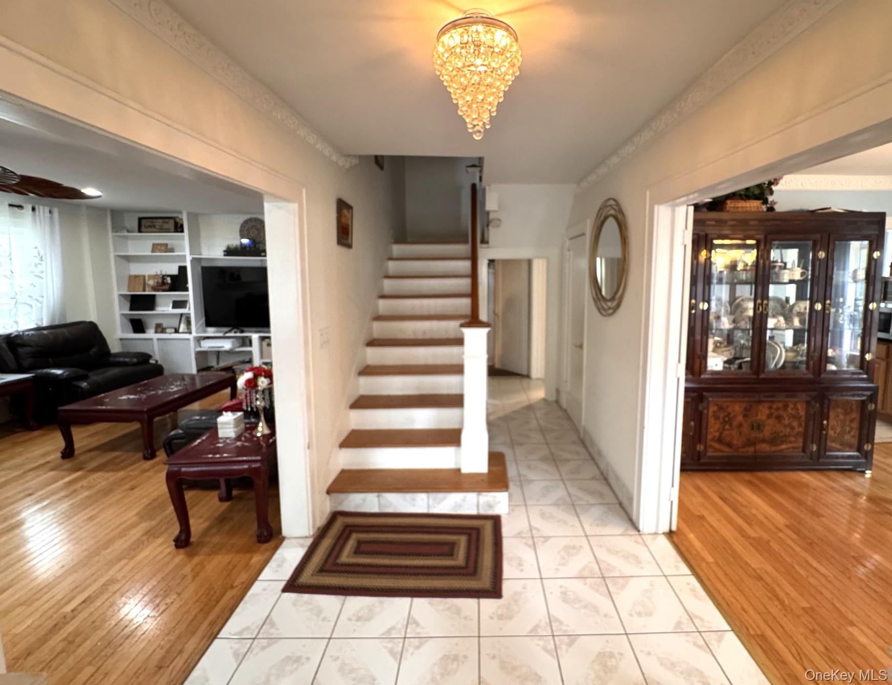 36 Earle Place Property Photo 3