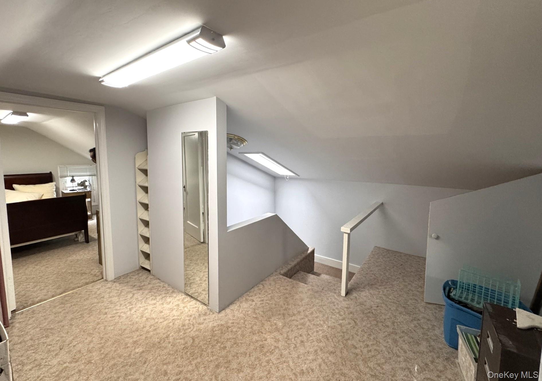 36 Earle Place Property Photo 22