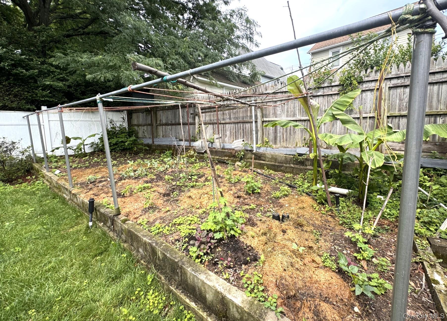 36 Earle Place Property Photo 28