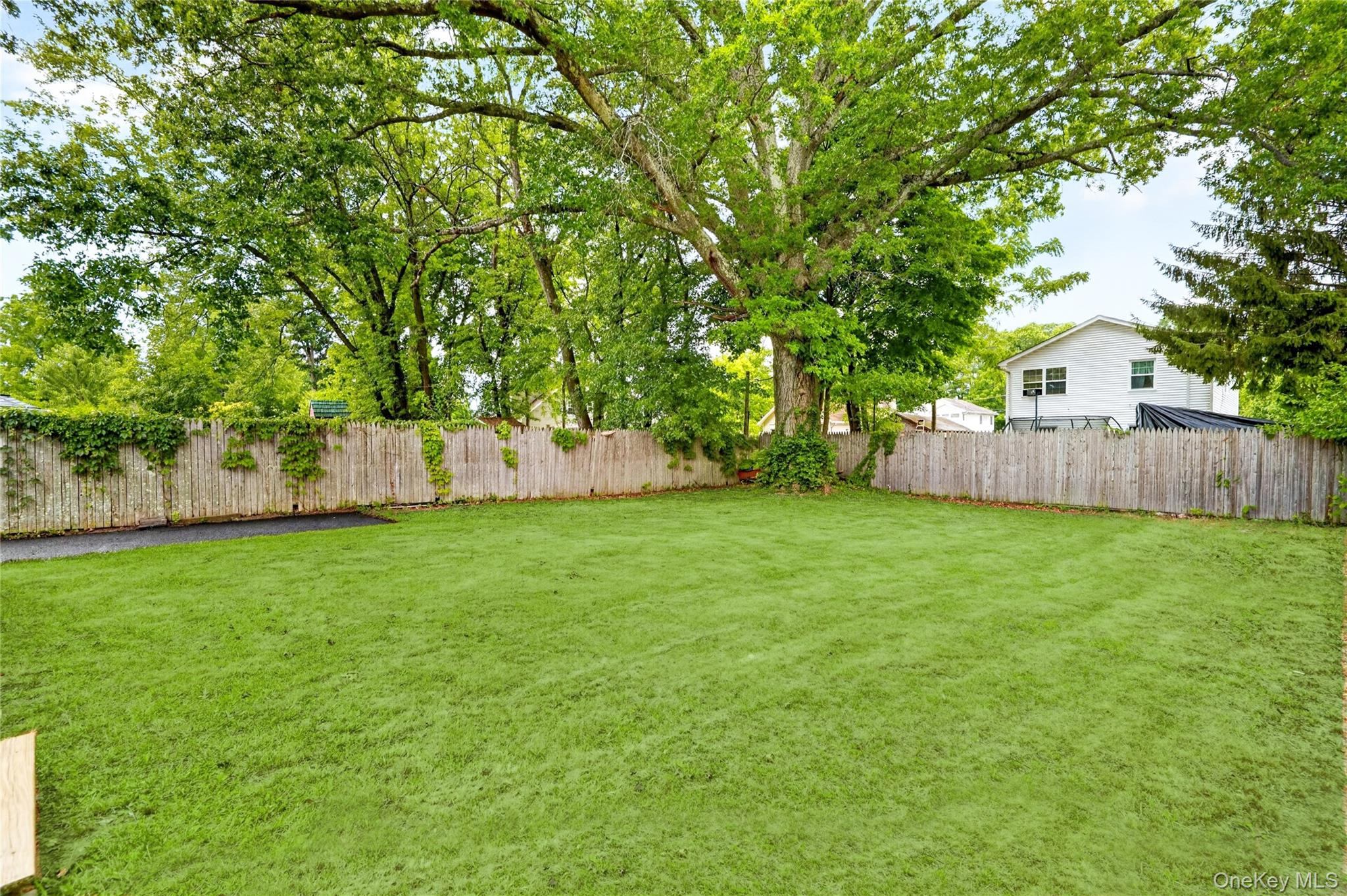 68 Ridgewood Avenue Property Photo 47