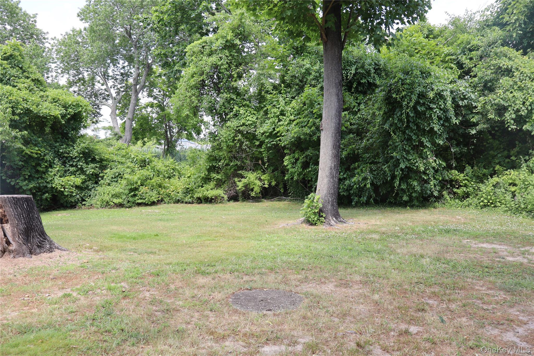 301 Foster Avenue Property Photo 19