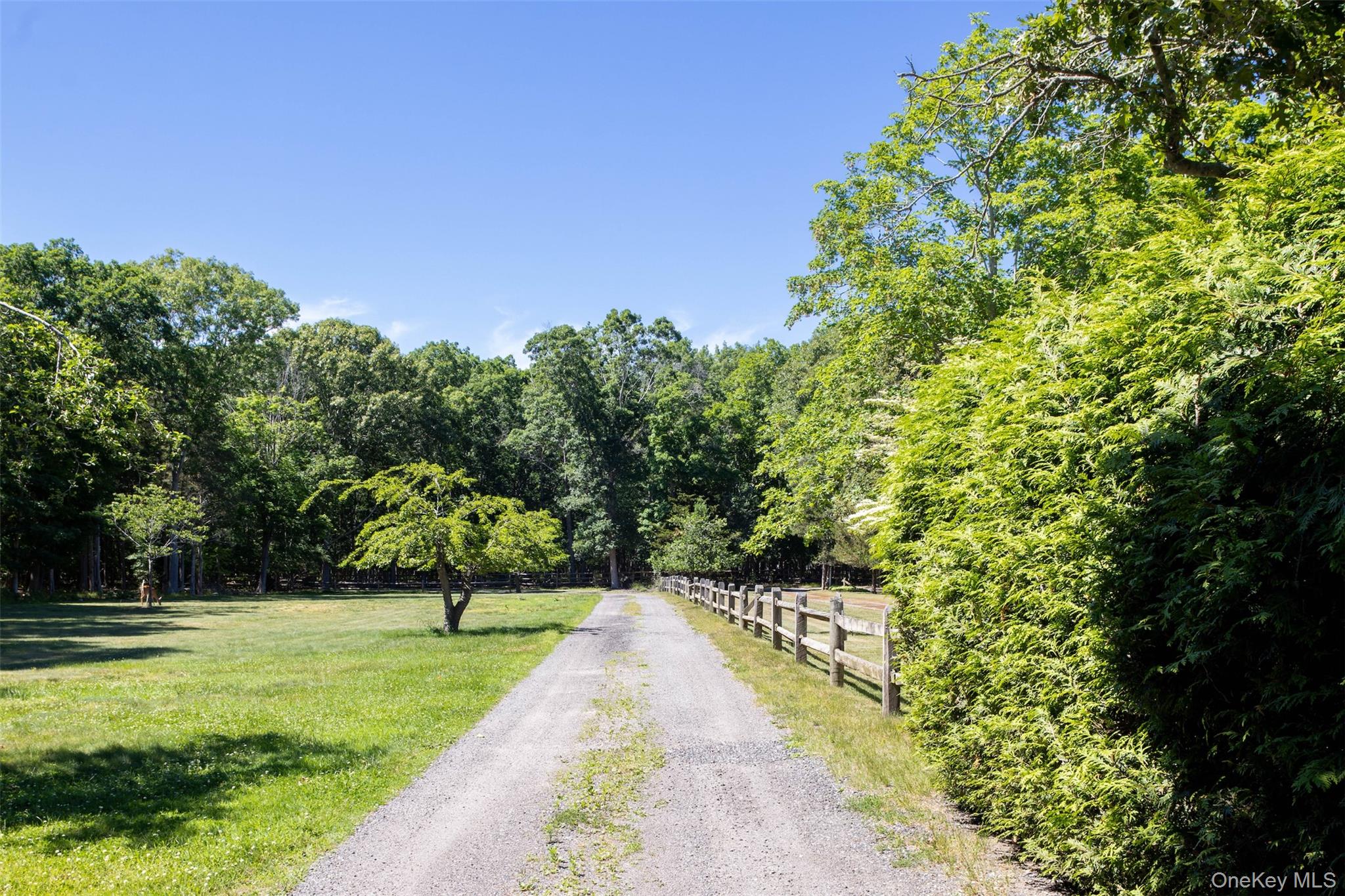 300 Terry Path Property Photo 6