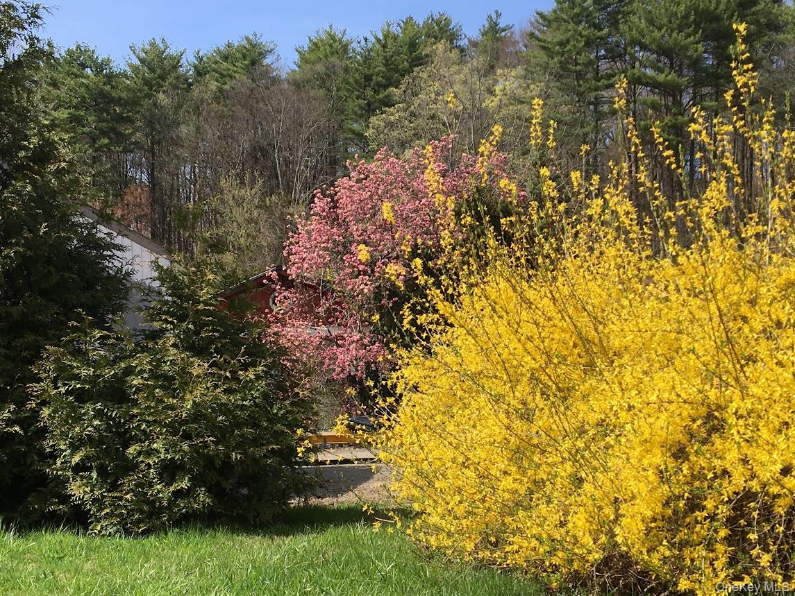 6940 Route 209 Property Photo 43