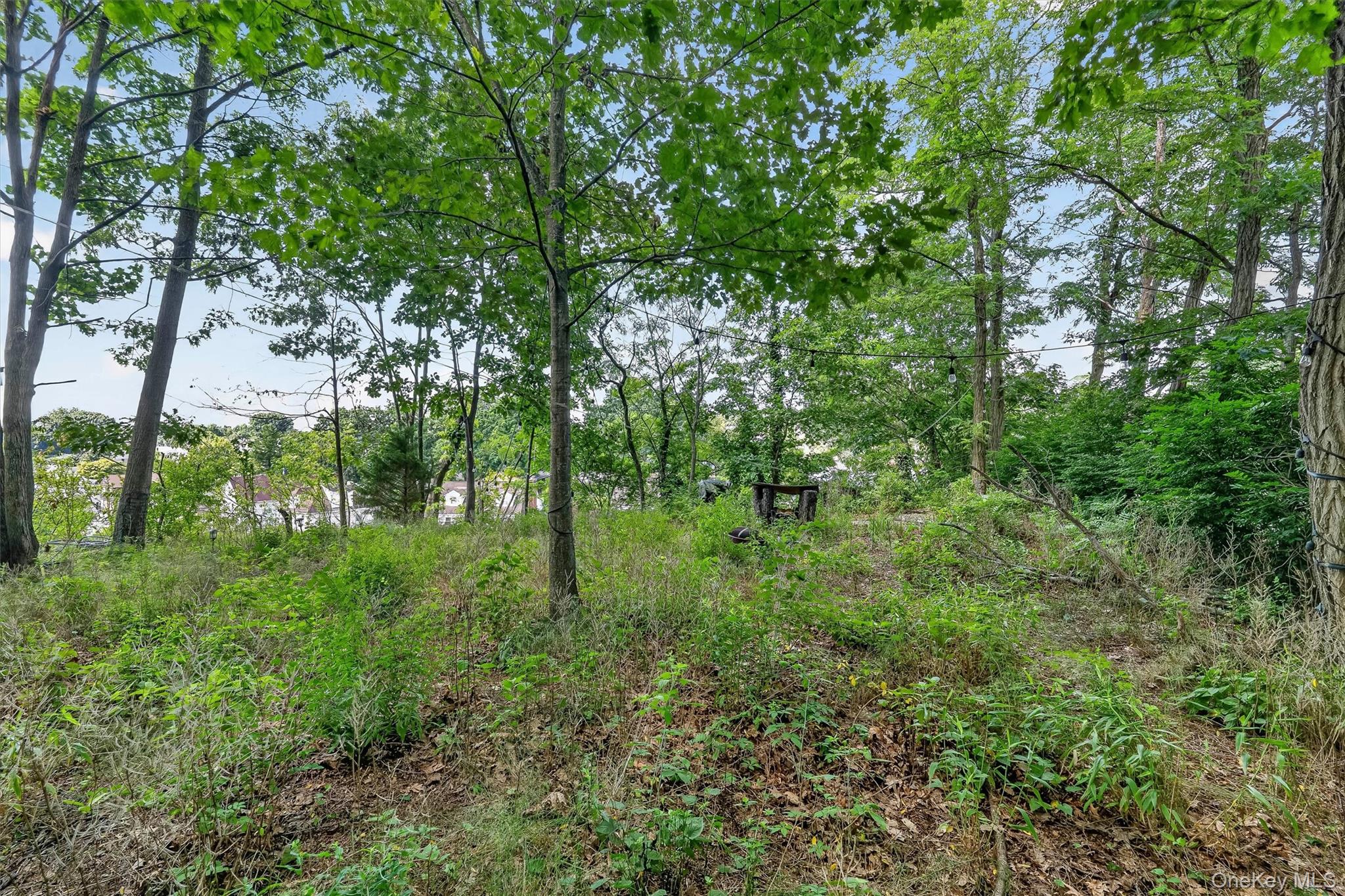 273 Madison Avenue Property Photo 39
