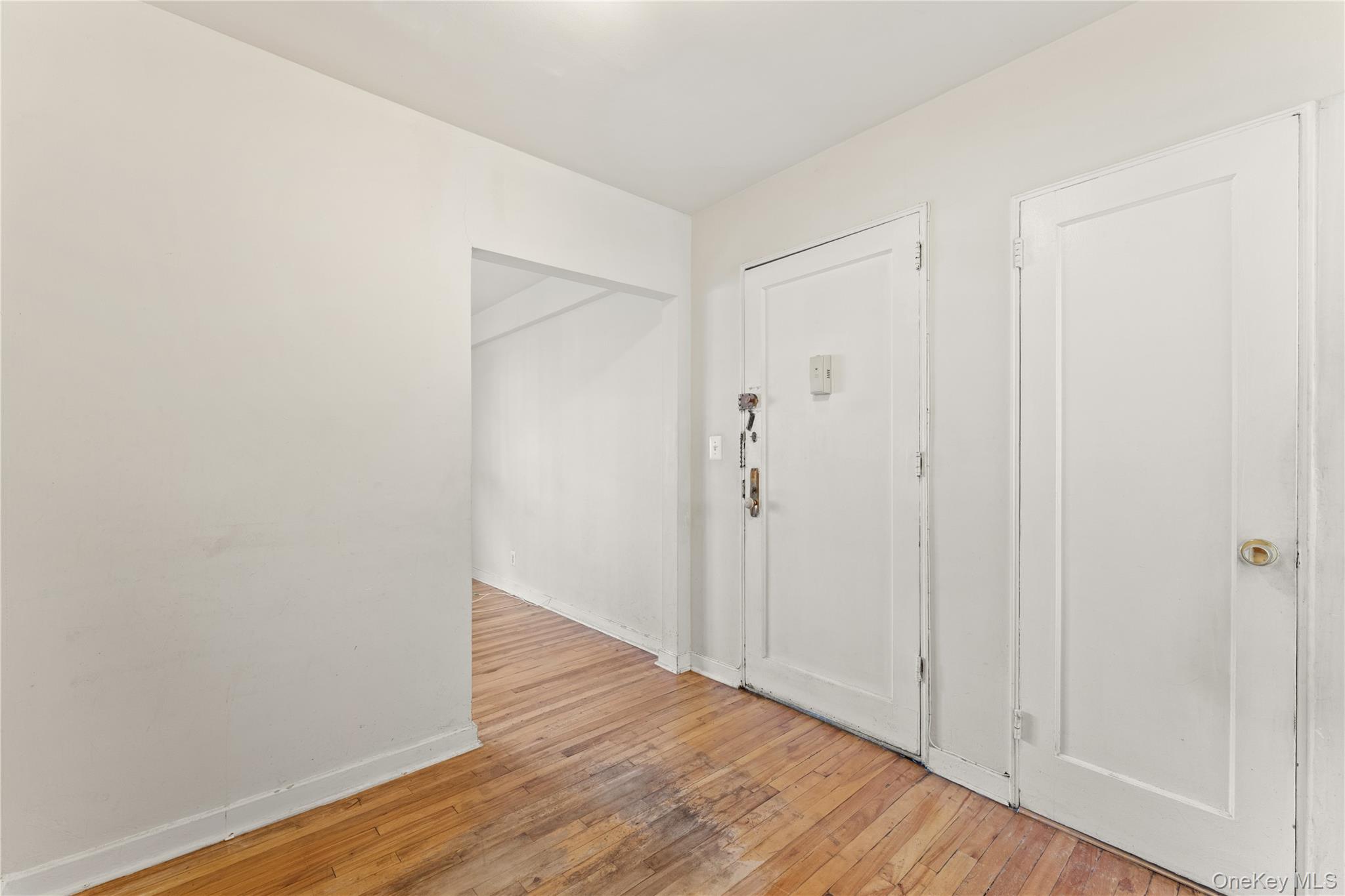 44 Winchester Avenue 1b Property Photo 3