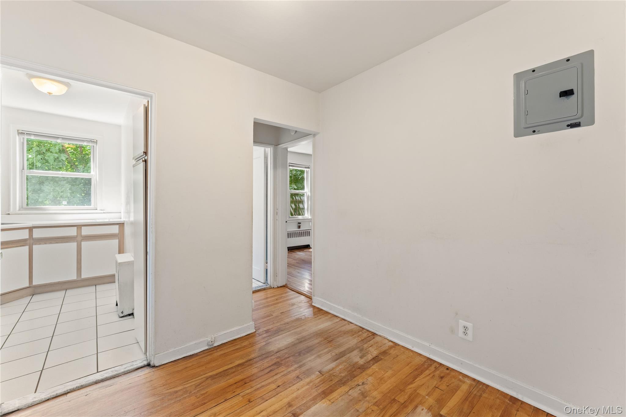 44 Winchester Avenue 1b Property Photo 4