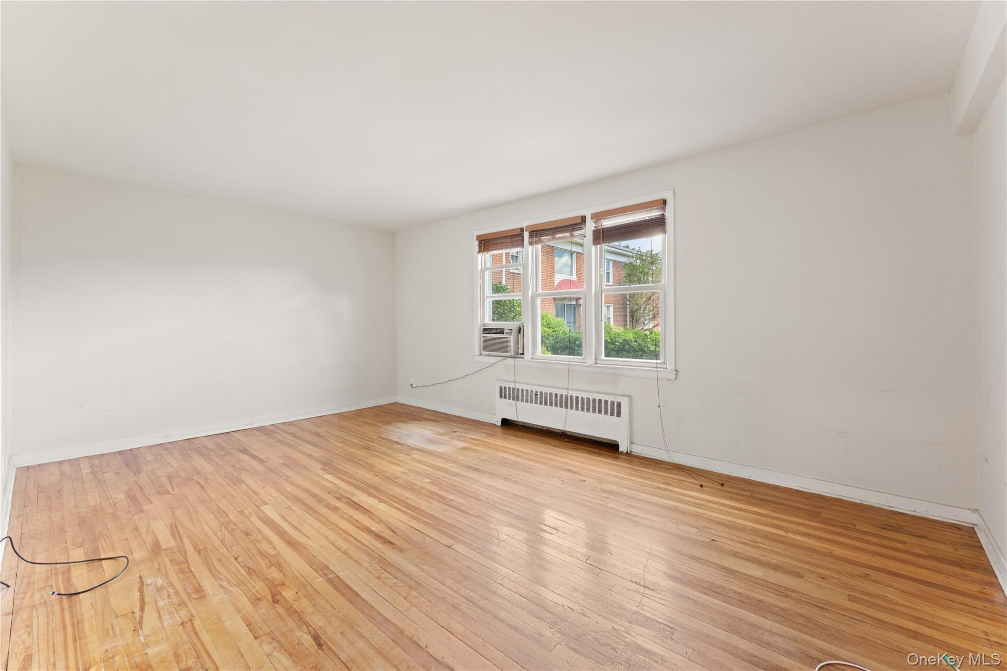 44 Winchester Avenue 1b Property Photo 5