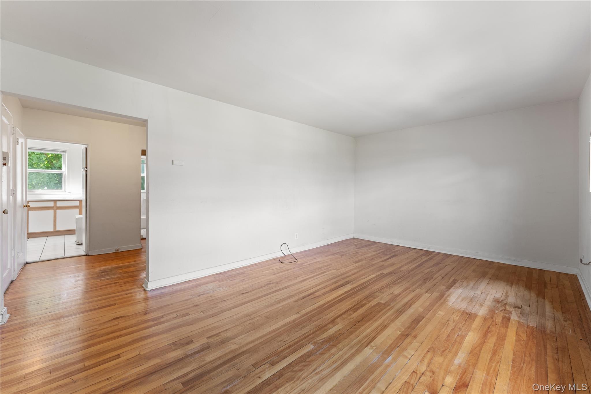 44 Winchester Avenue 1b Property Photo 6