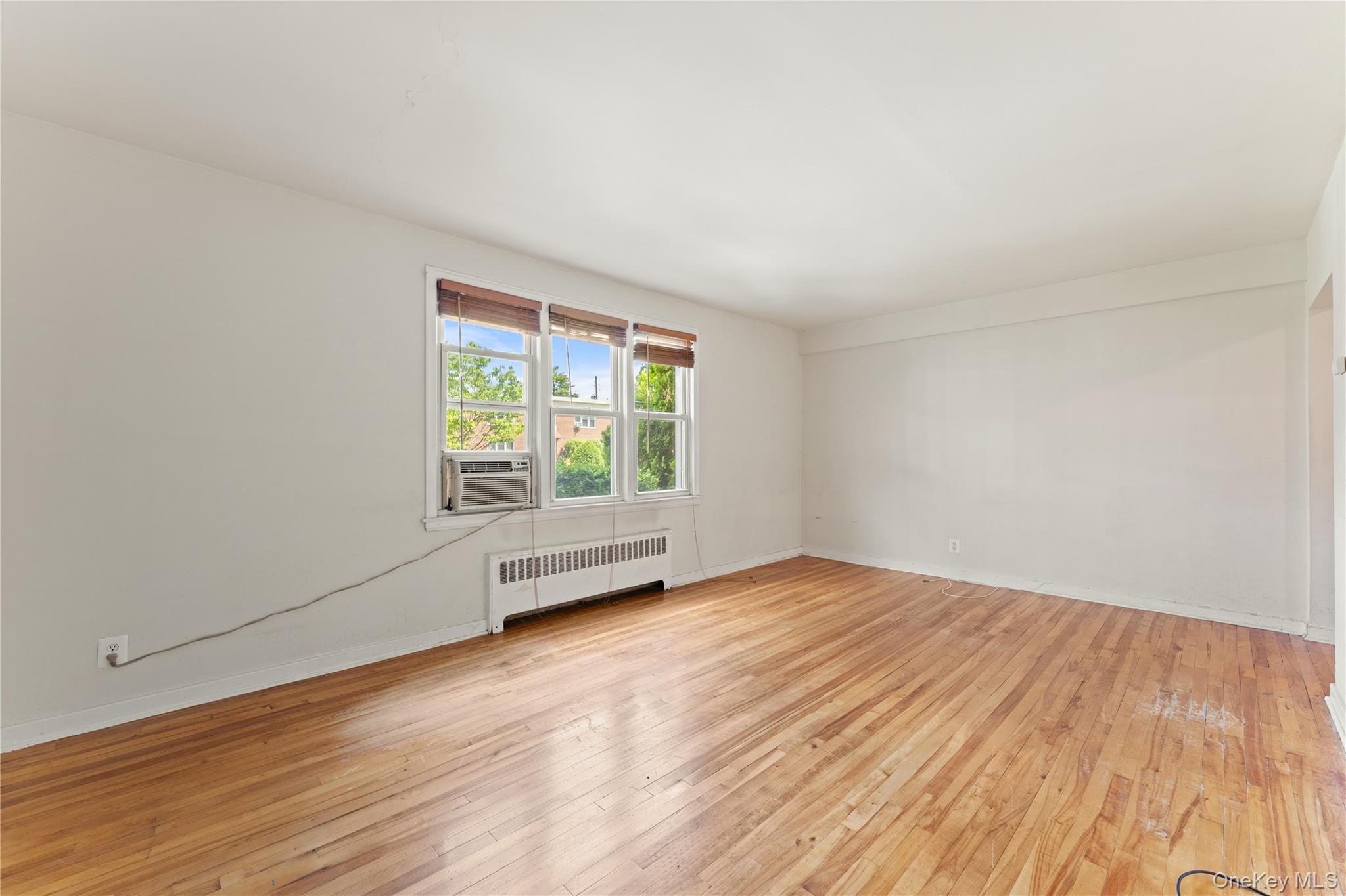 44 Winchester Avenue 1b Property Photo 7