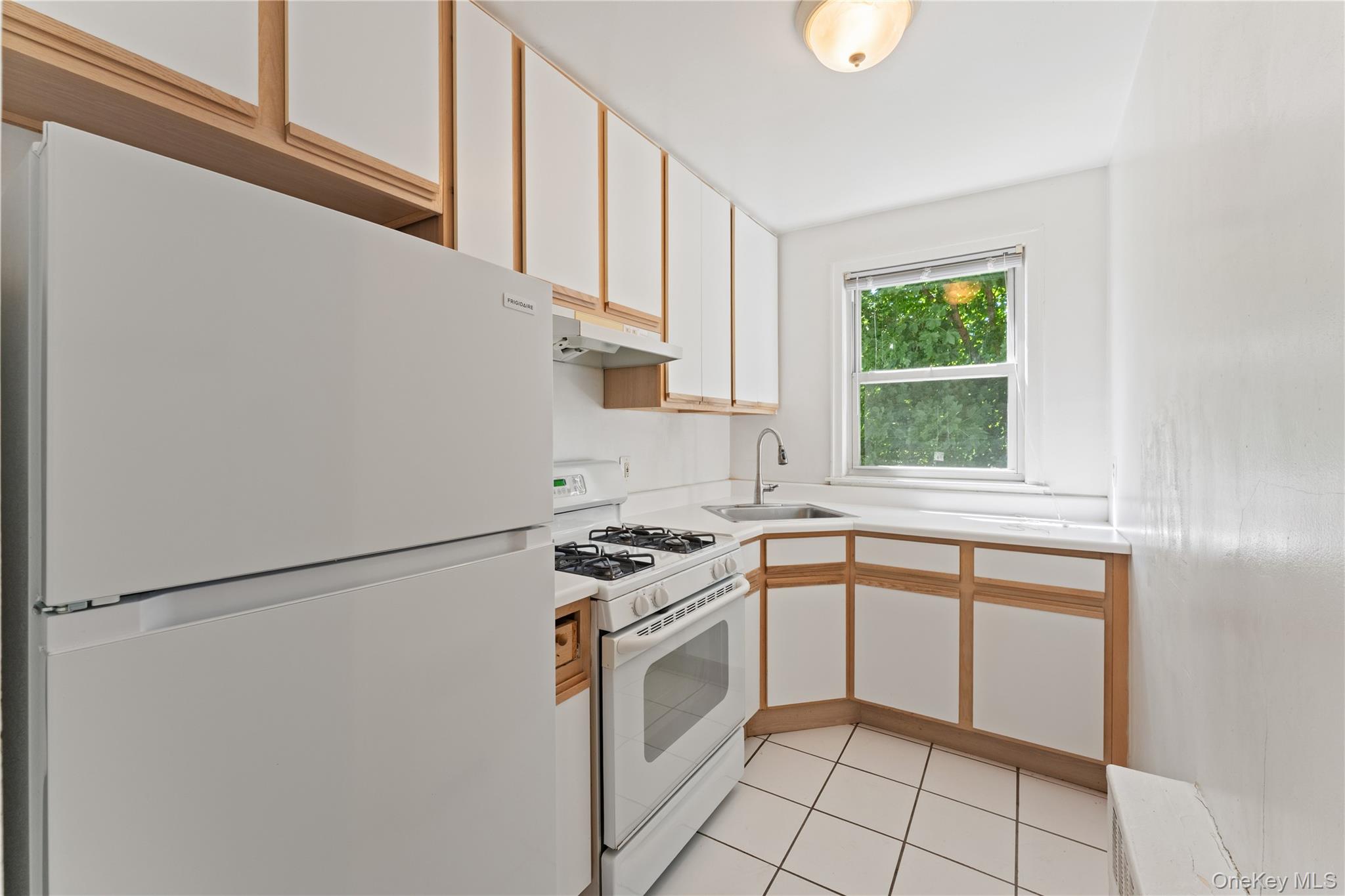 44 Winchester Avenue 1b Property Photo 8