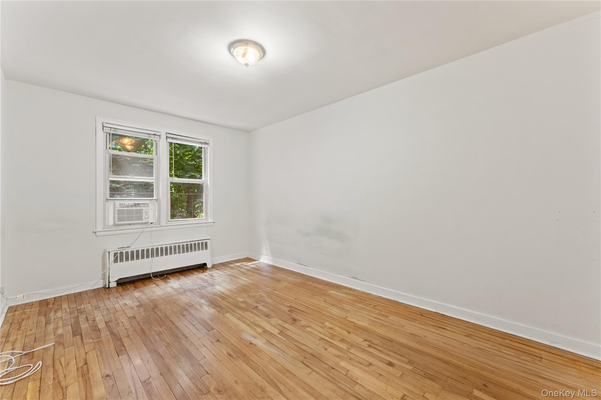 44 Winchester Avenue 1b Property Photo 9