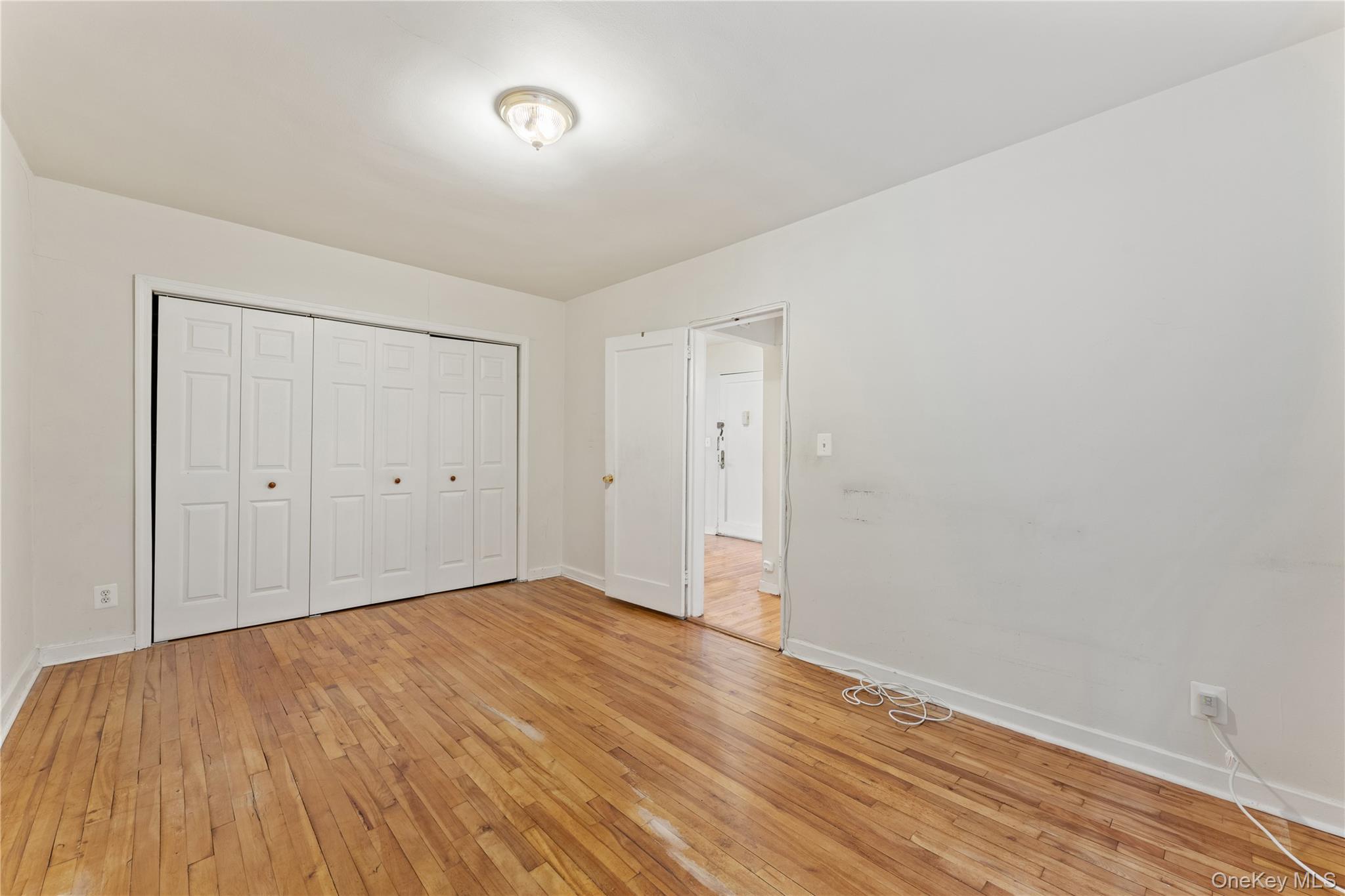 44 Winchester Avenue 1b Property Photo 10