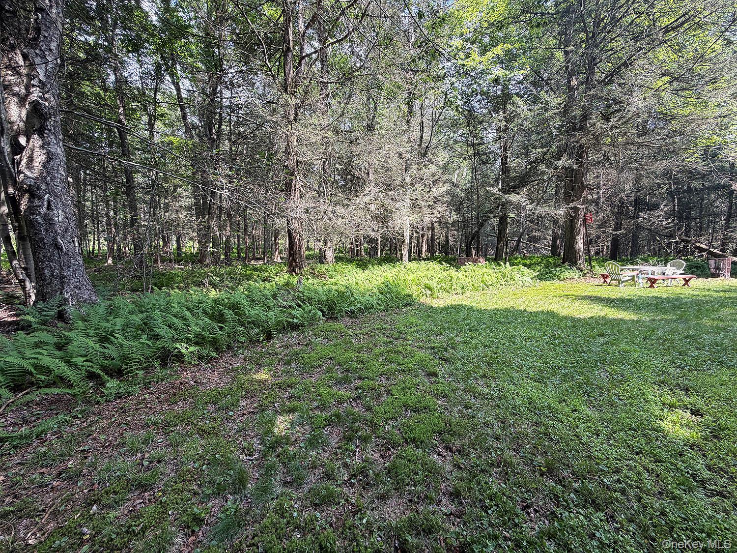 834 Delaware Lake Road Property Photo 7