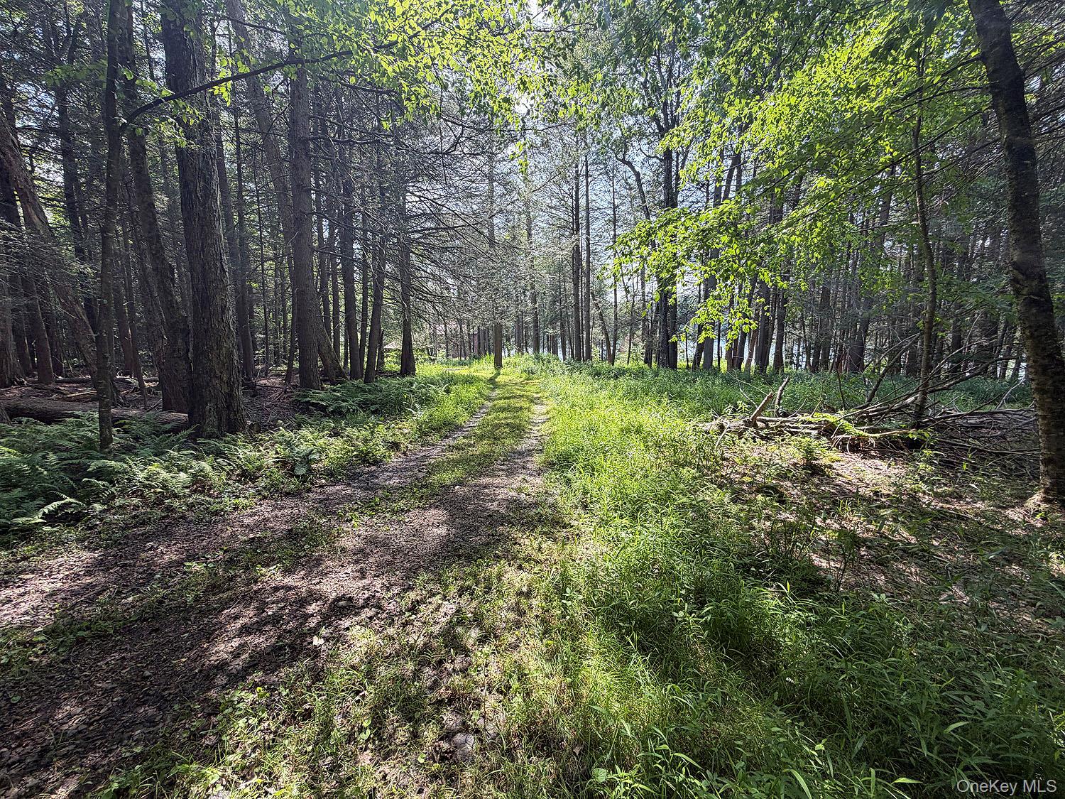 834 Delaware Lake Road Property Photo 8