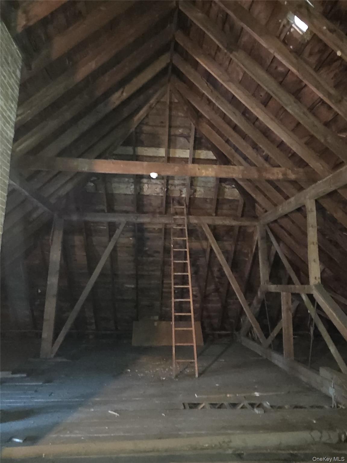 9 Thompson Street Property Photo 30