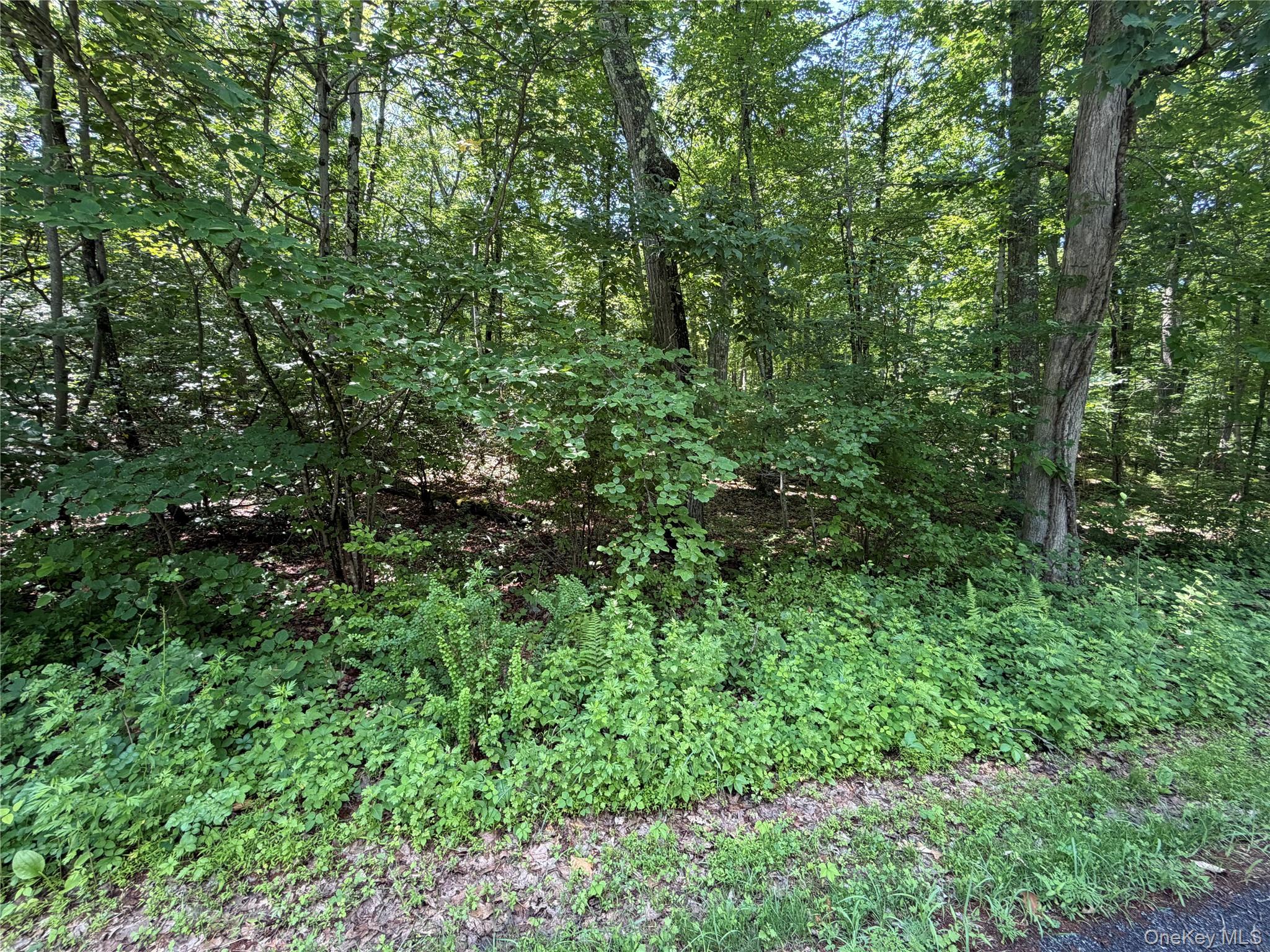 599 E Mountain Road Property Photo 9