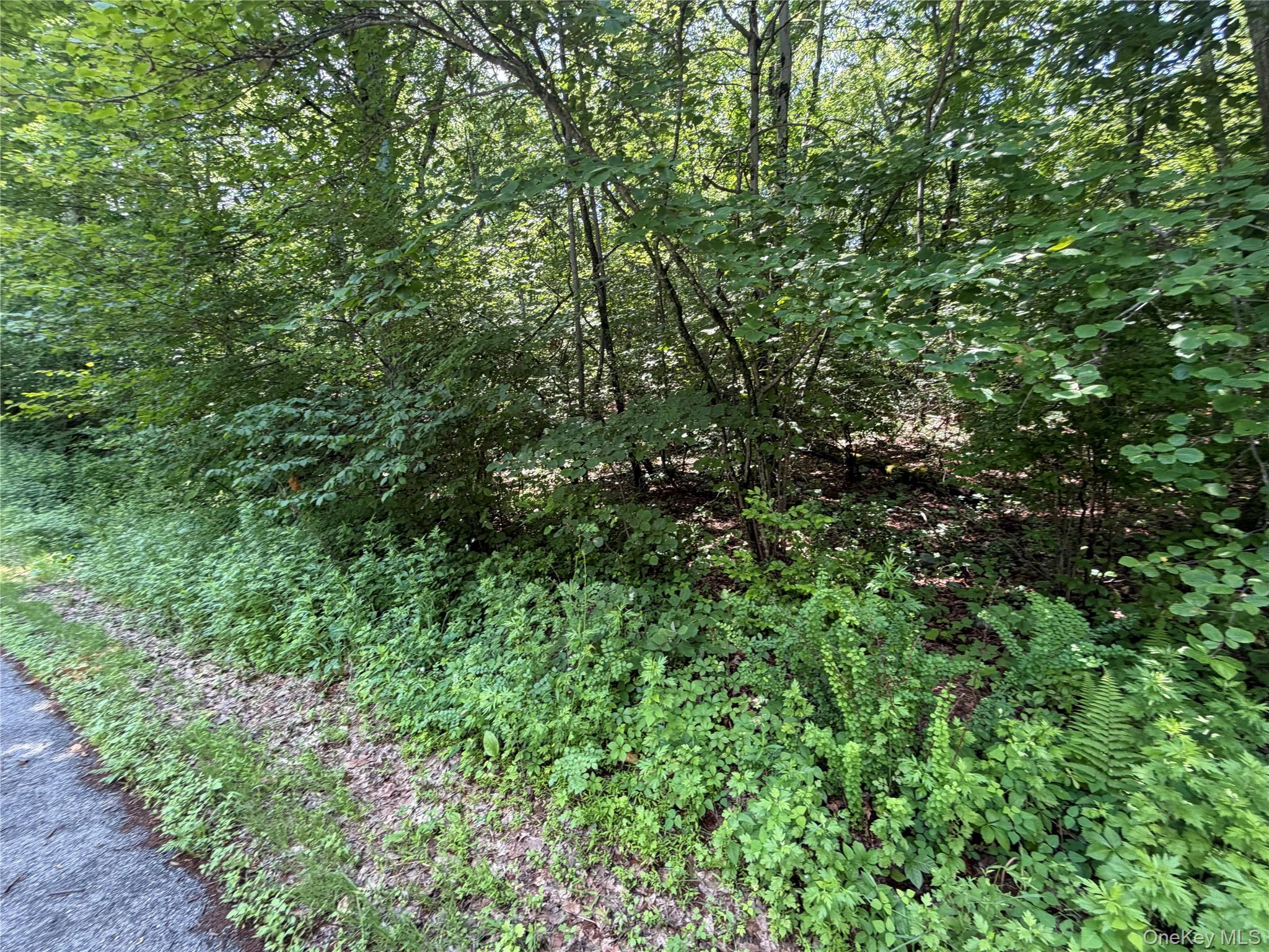 599 E Mountain Road Property Photo 10