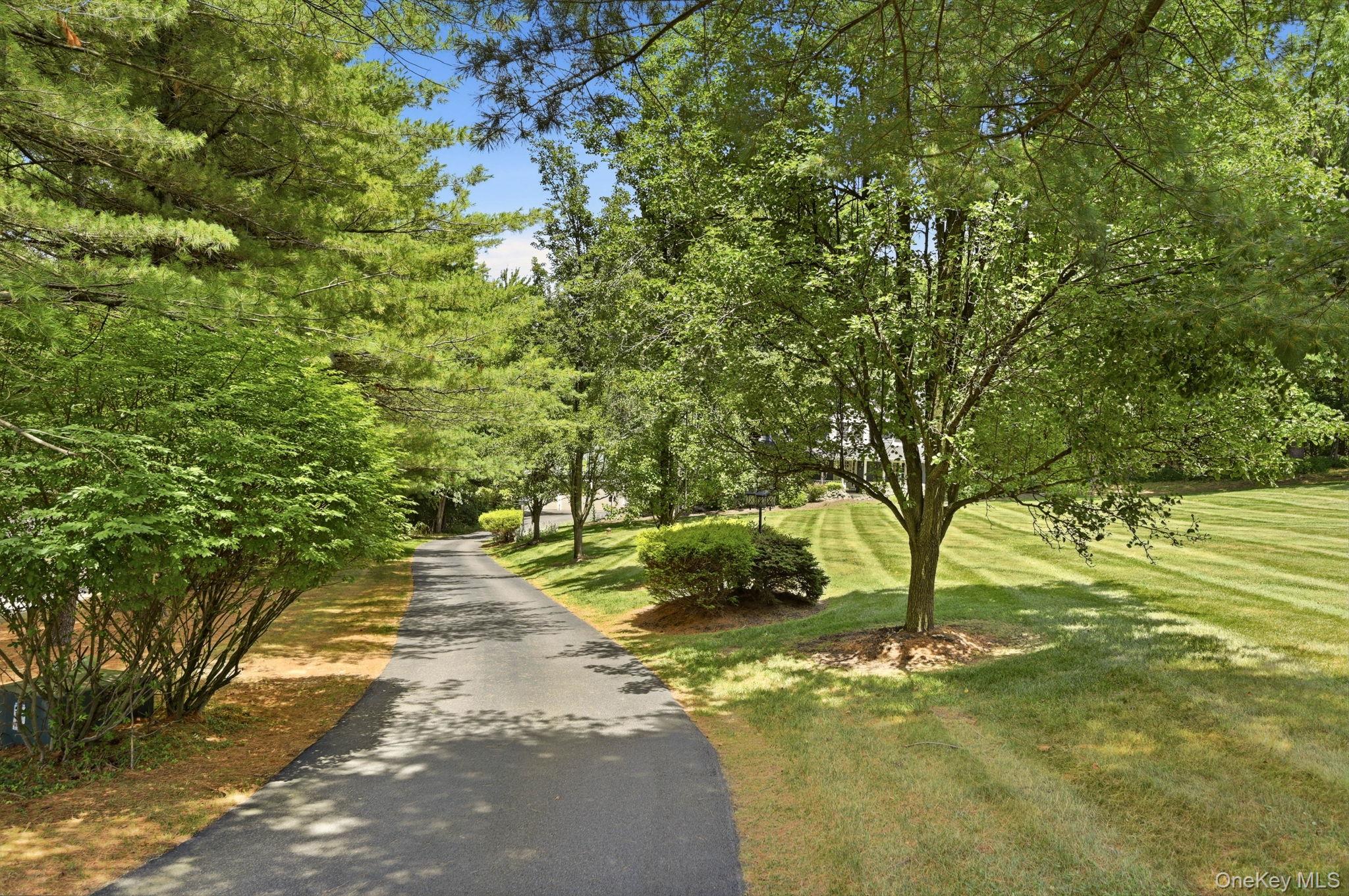 8 Sills Court Property Photo 33