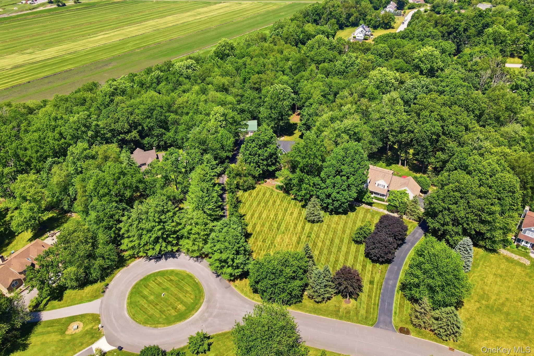 8 Sills Court Property Photo 35