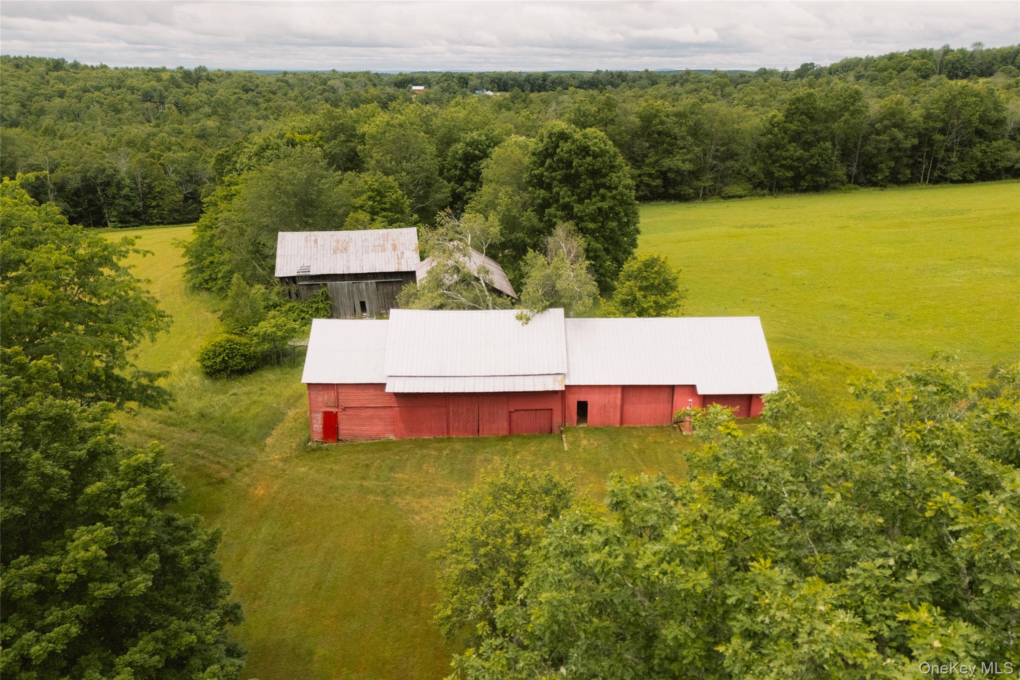 196 County Road 115 Property Photo 47