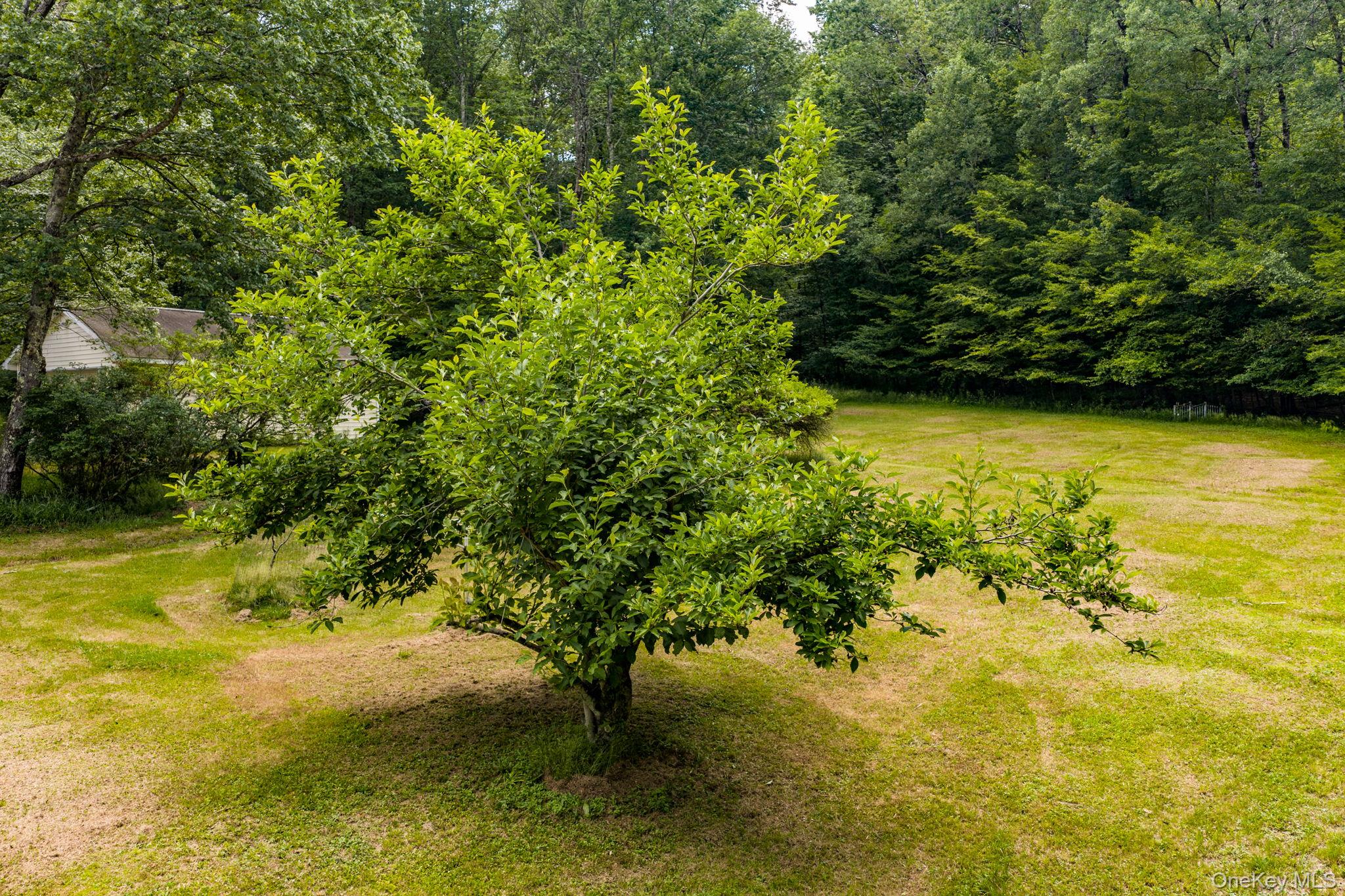 10 Hoffman Road Property Photo 31