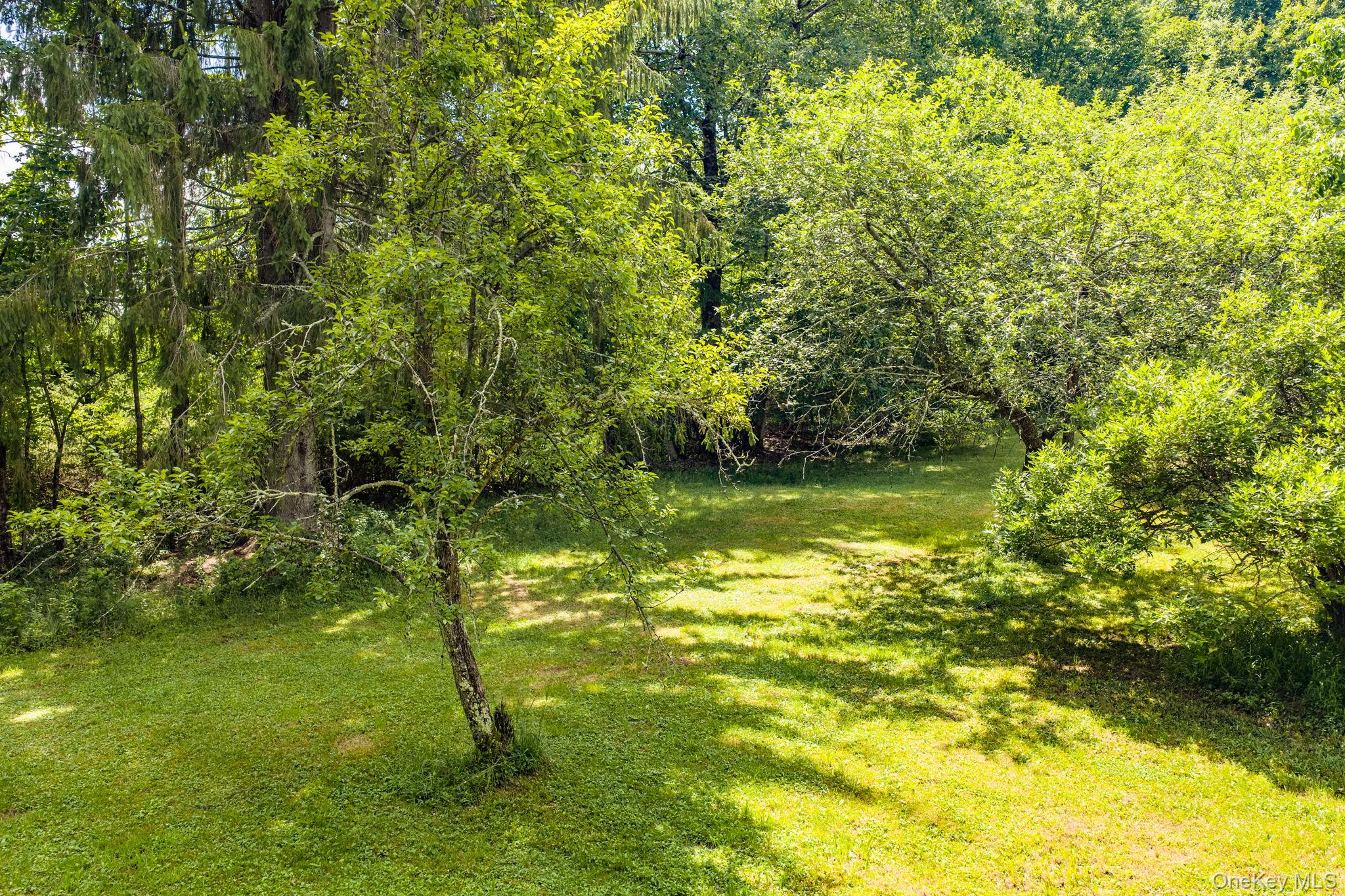 10 Hoffman Road Property Photo 35