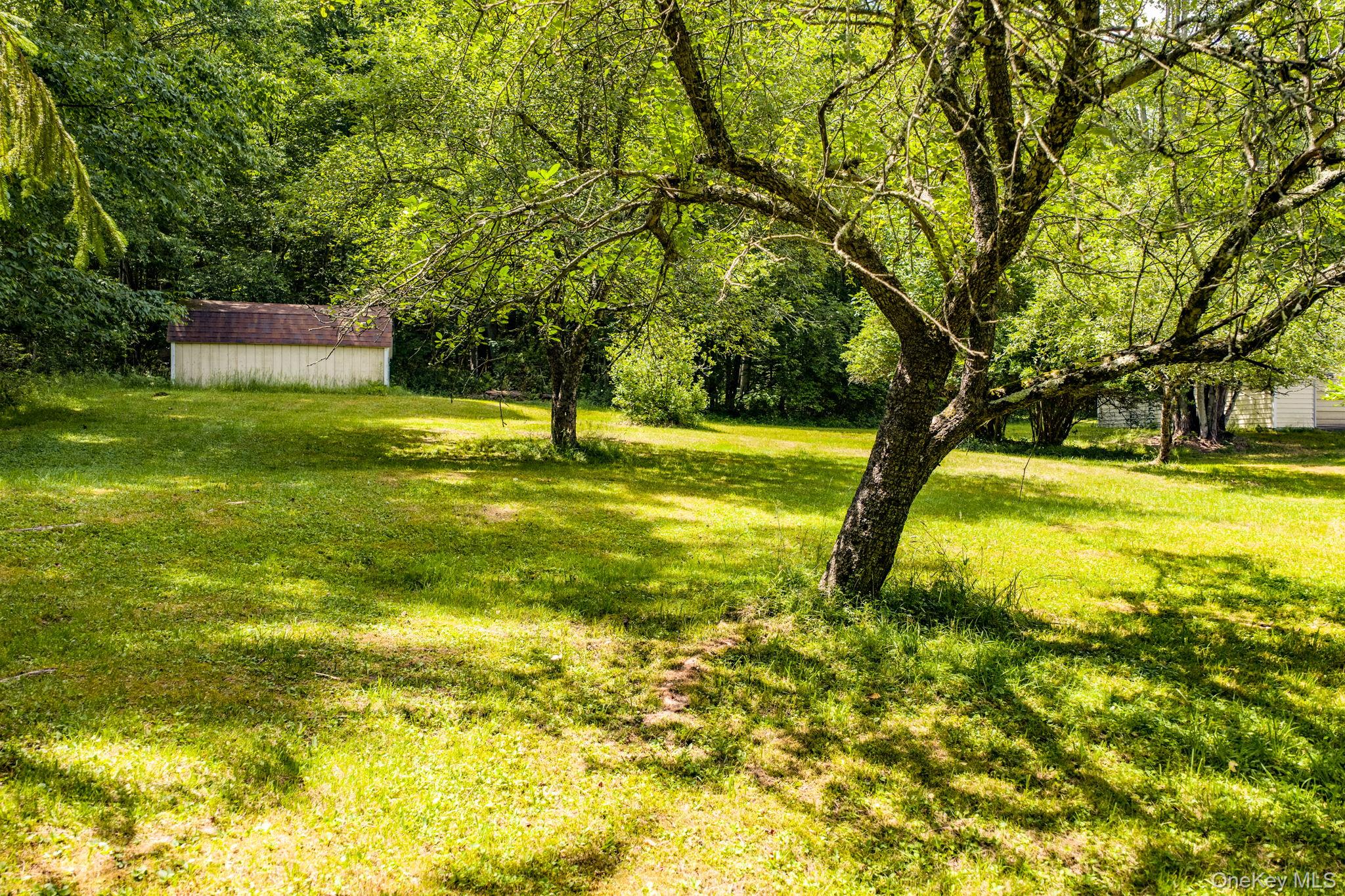 10 Hoffman Road Property Photo 36