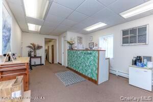 141 Ulster Avenue Property Photo 11