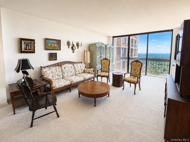 27010 Grand Central Parkway 22r Property Photo 4