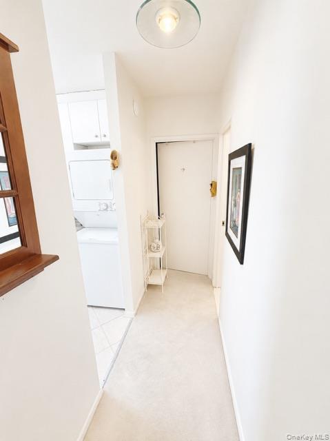 27010 Grand Central Parkway 22r Property Photo 14