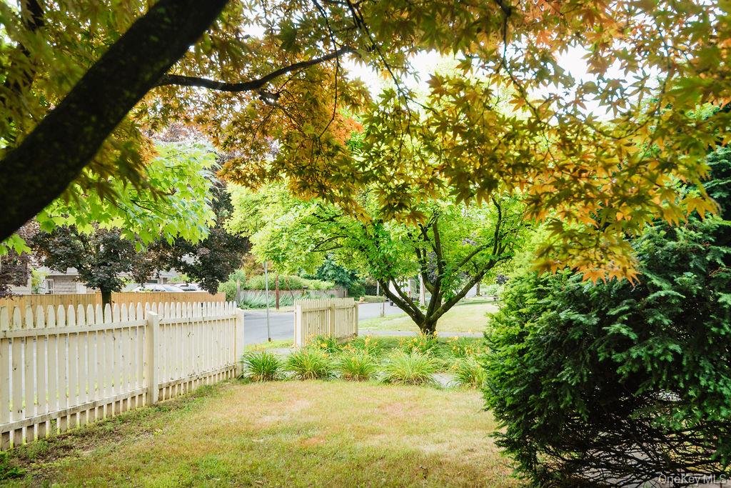 133 Pearl Street Property Photo 4