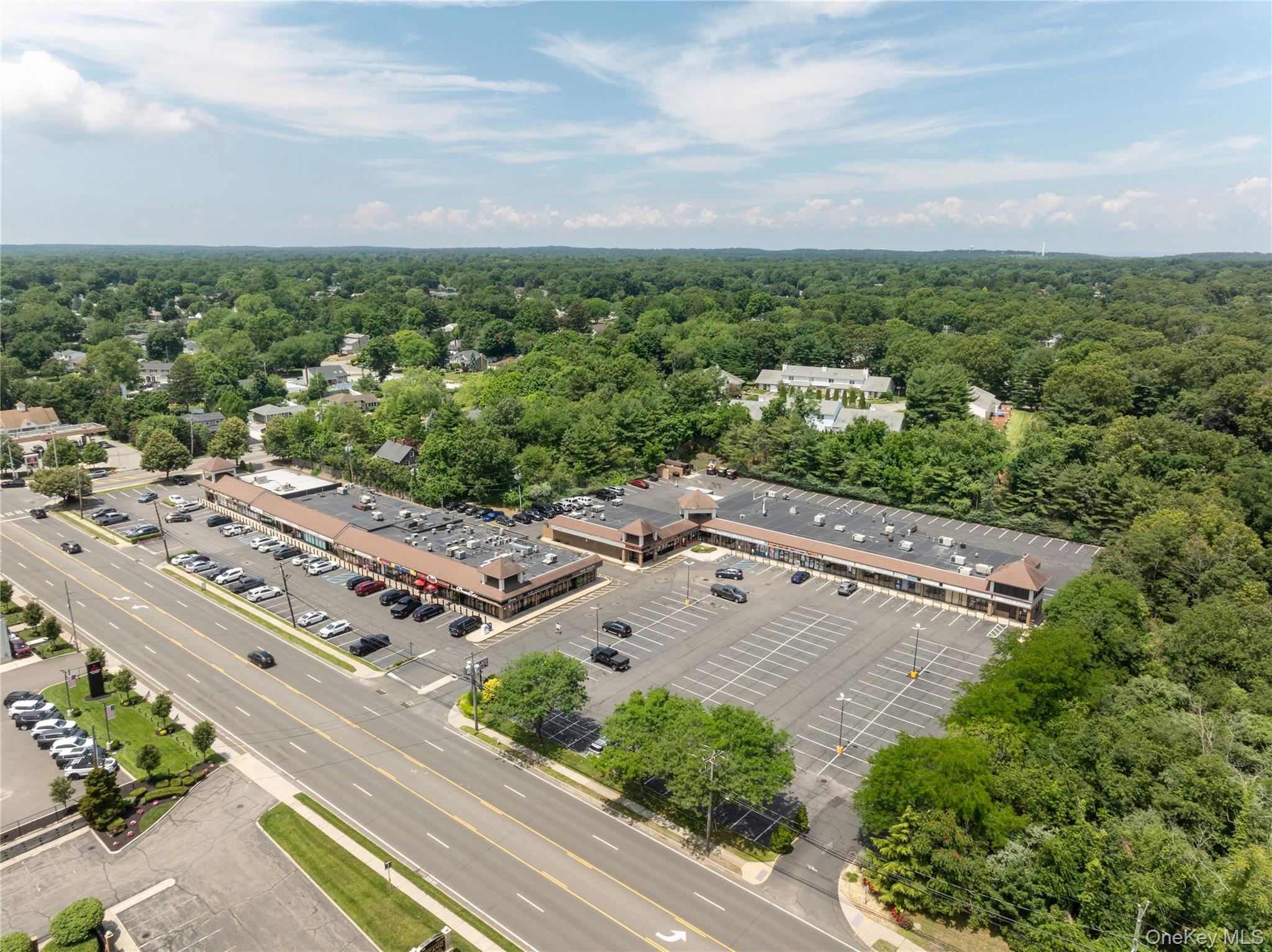 1139-3 Jericho Turnpike Property Photo 17
