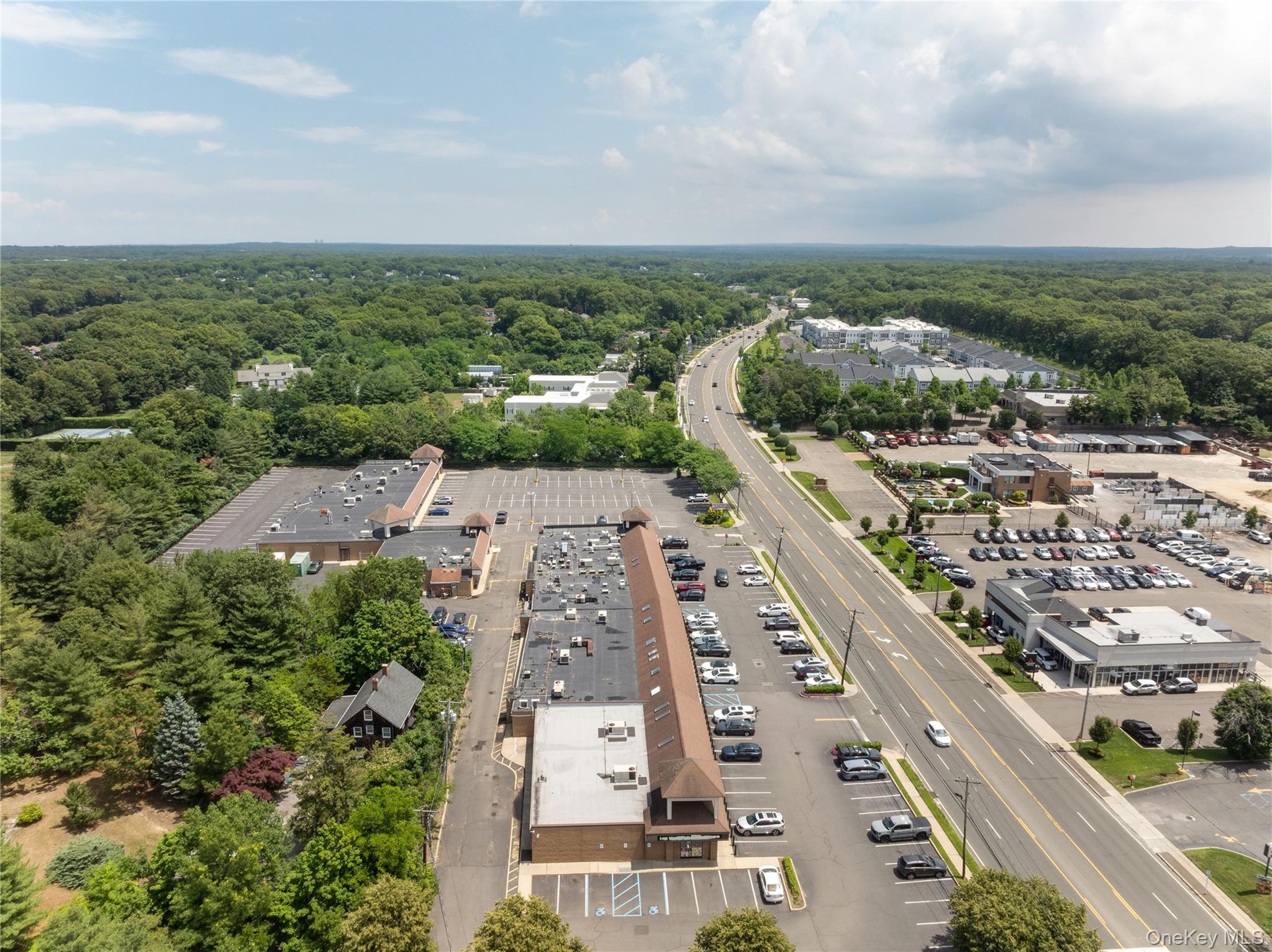 1139-3 Jericho Turnpike Property Photo 18