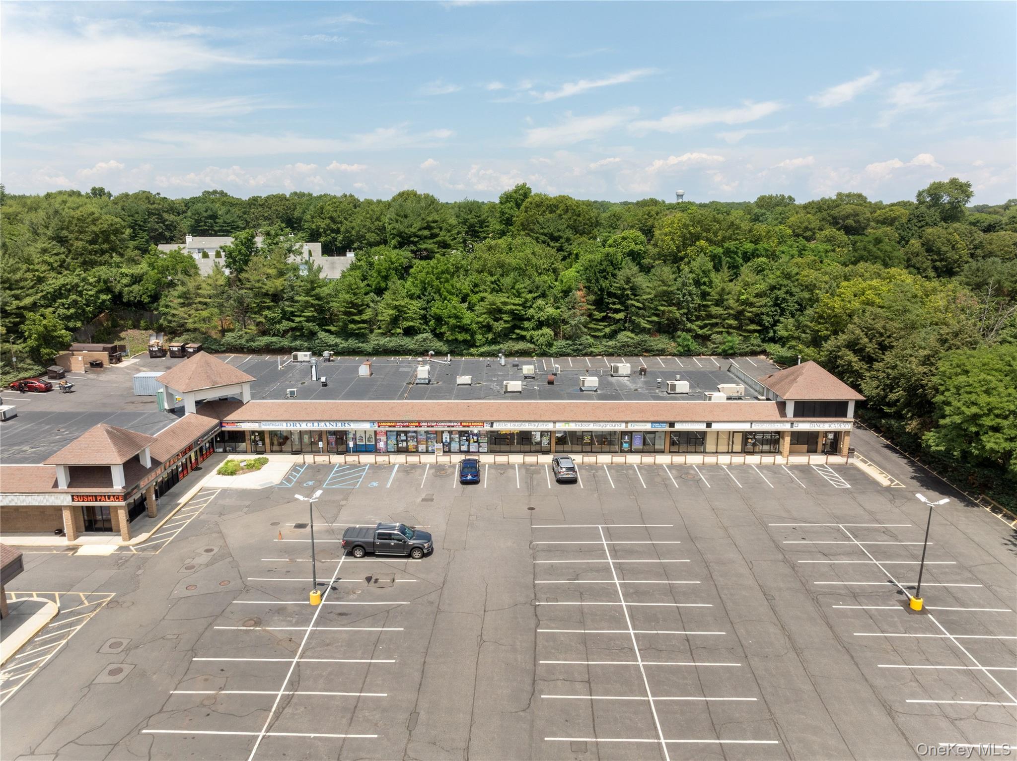 1139-3 Jericho Turnpike Property Photo 19