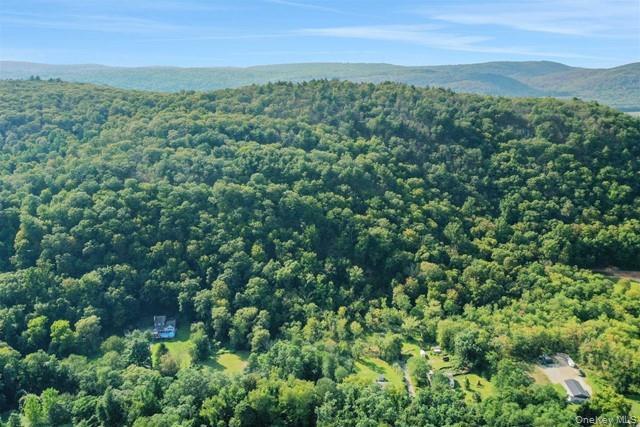 Old Pawling Road Property Photo 6