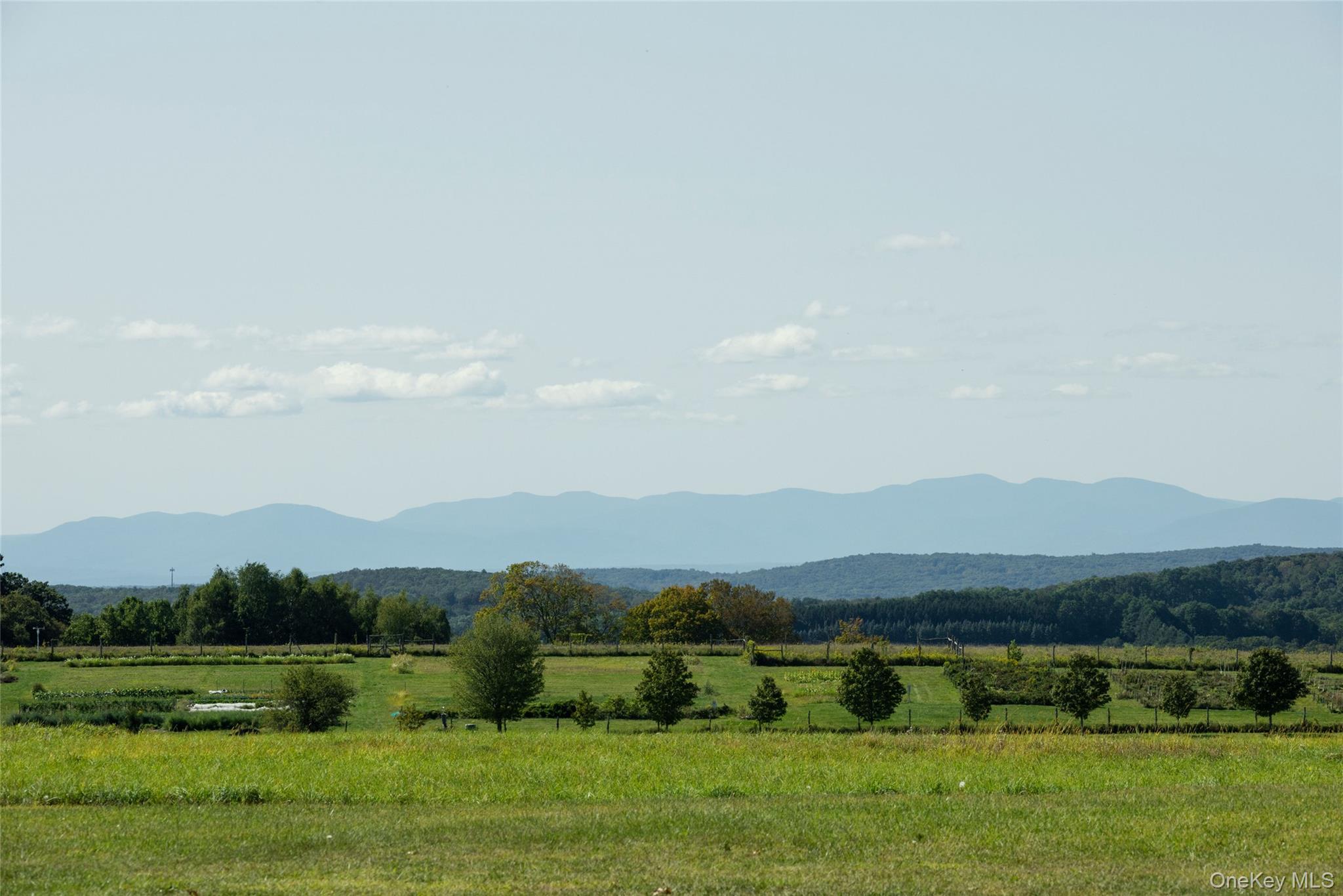 147 Moadock Road Property Photo 46