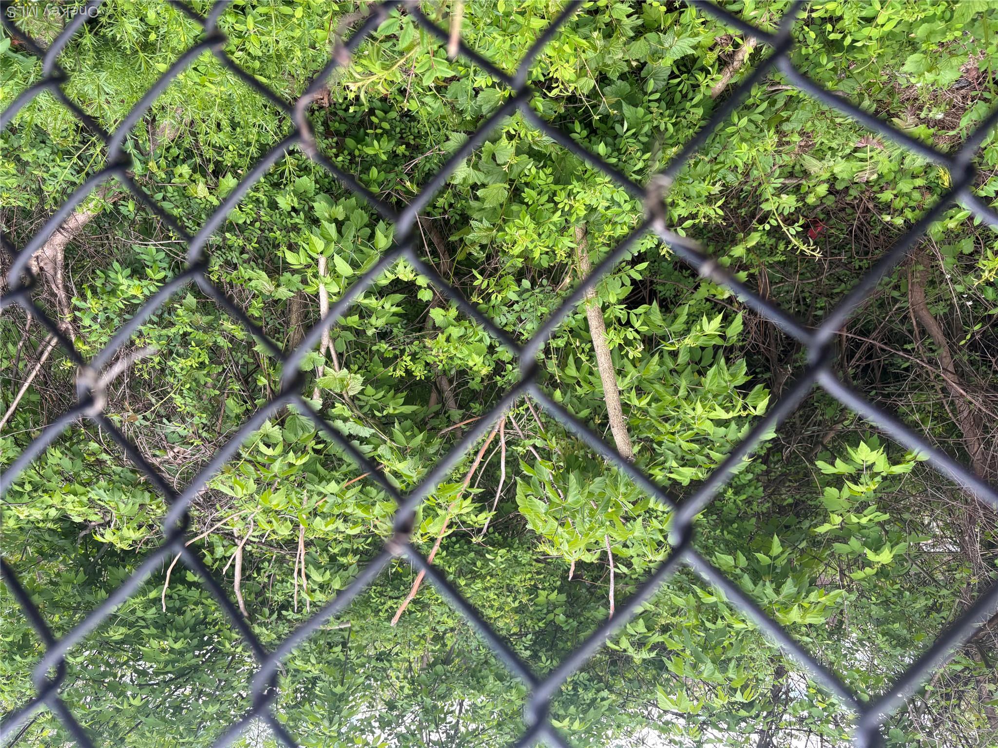 21 Washington Avenue Property Photo 7