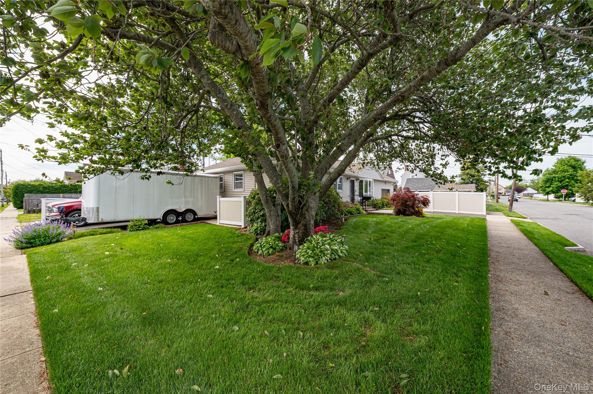 19 Buchanan Avenue Property Photo 5