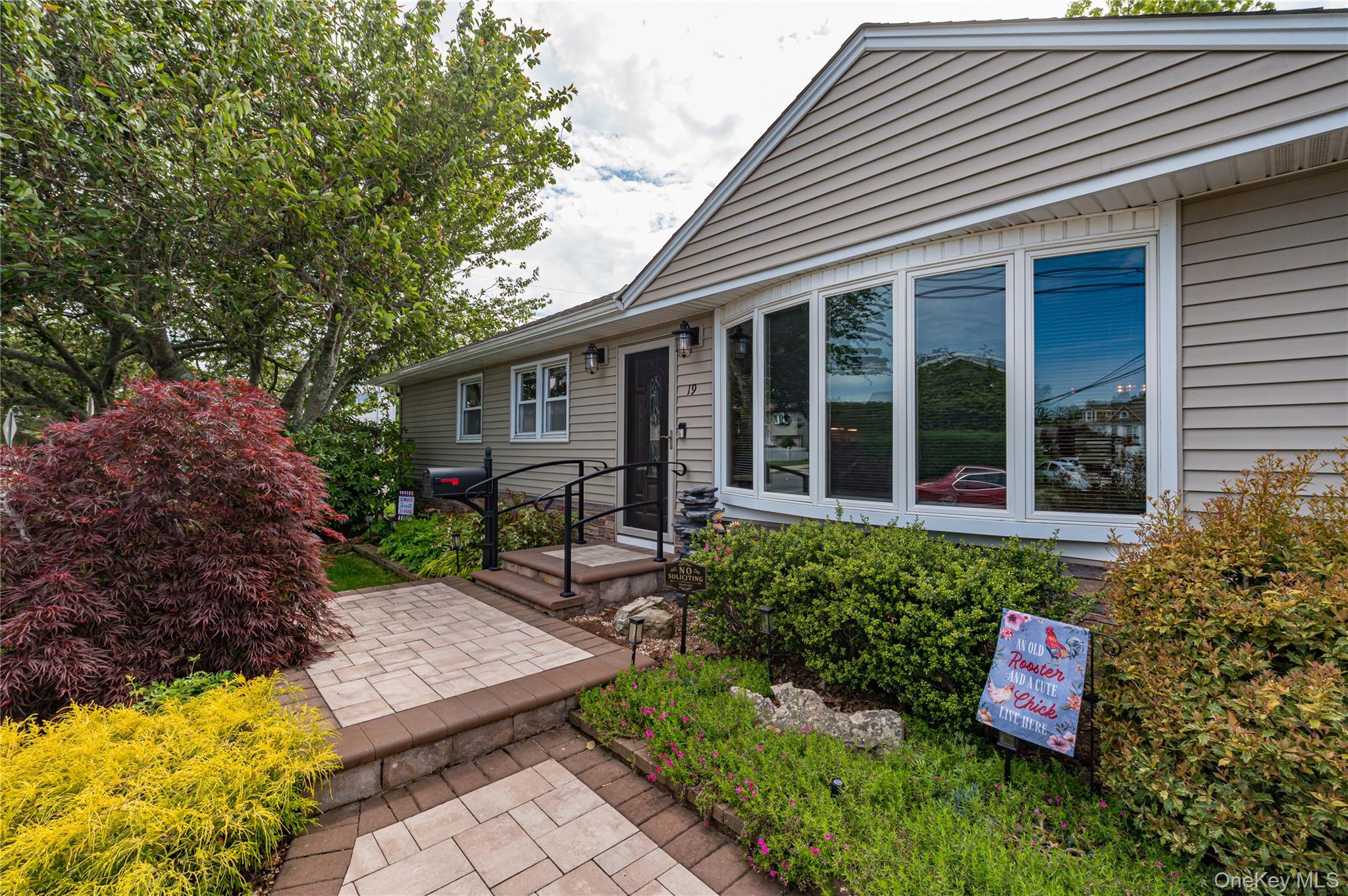 19 Buchanan Avenue Property Photo 6