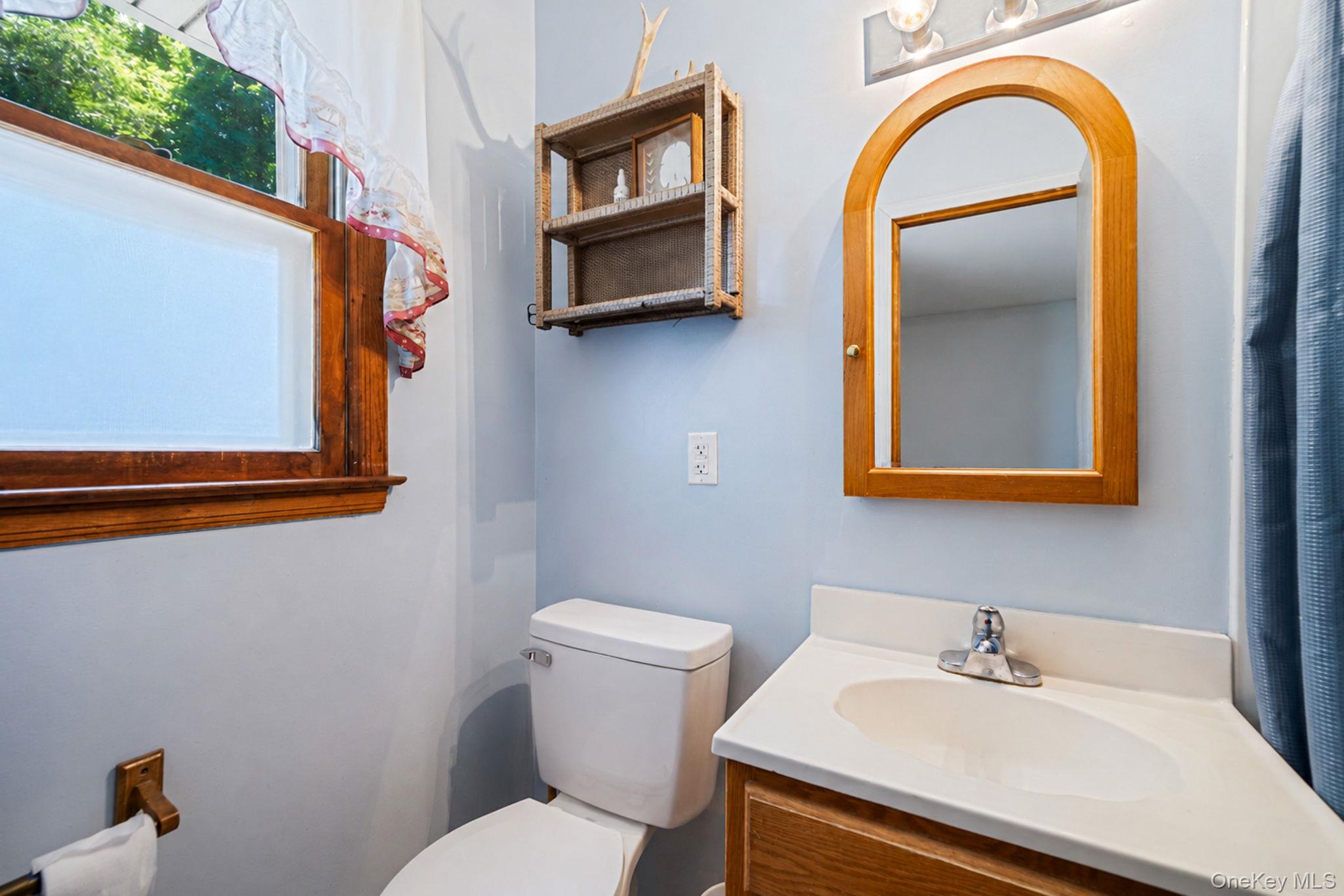 376 Moriches Road Property Photo 18