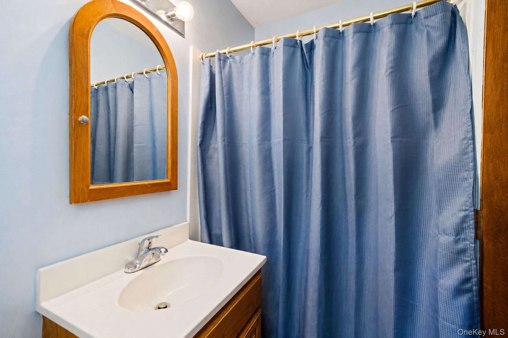 376 Moriches Road Property Photo 19