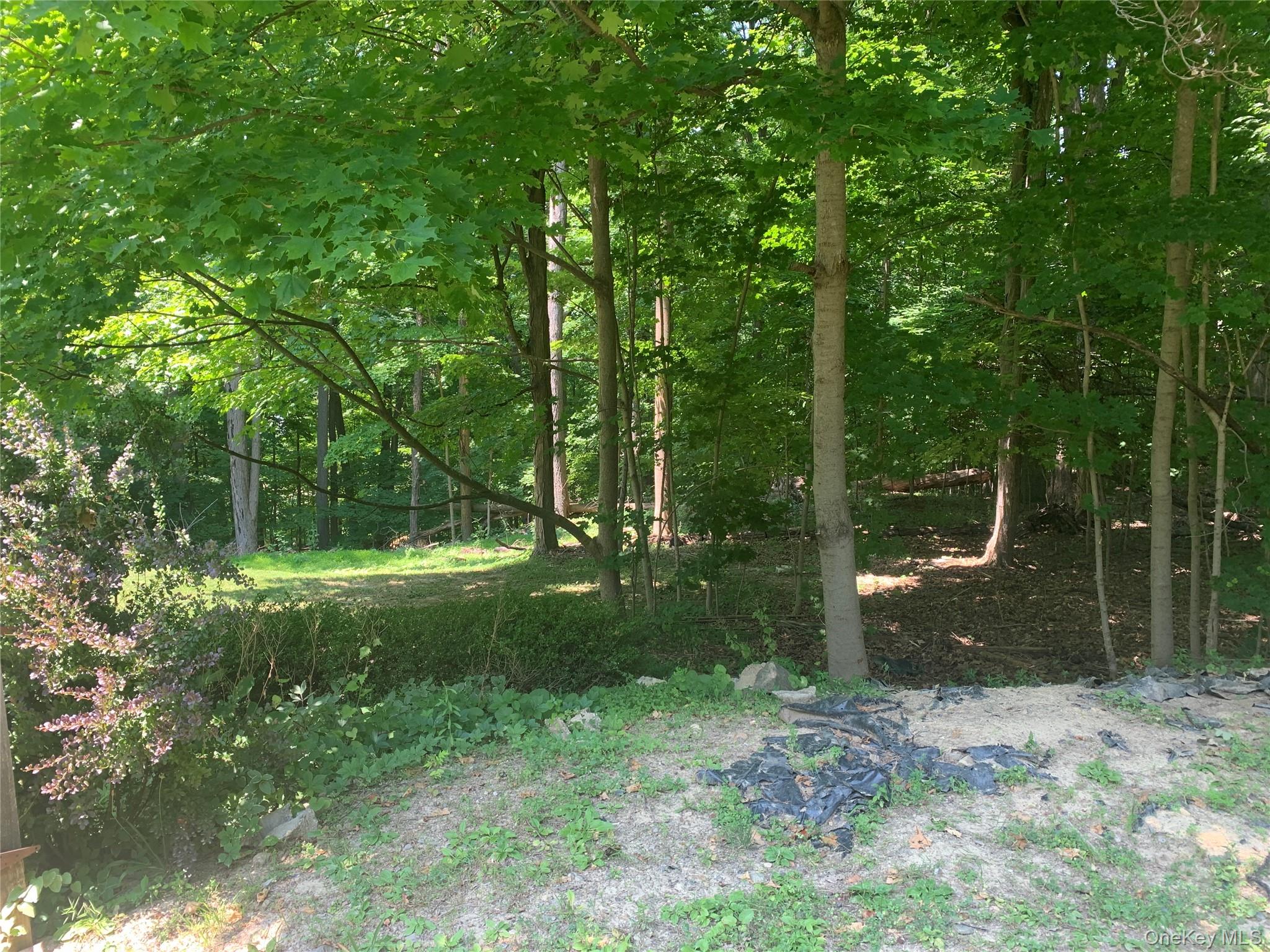 9 Dogwood Hill Road Property Photo 48