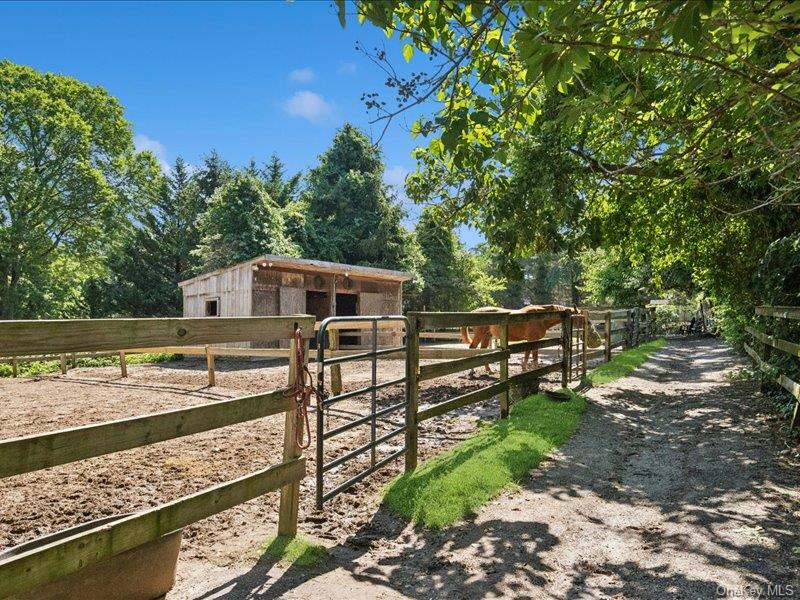 386 Bread And Cheese Hollow Road Property Photo 23