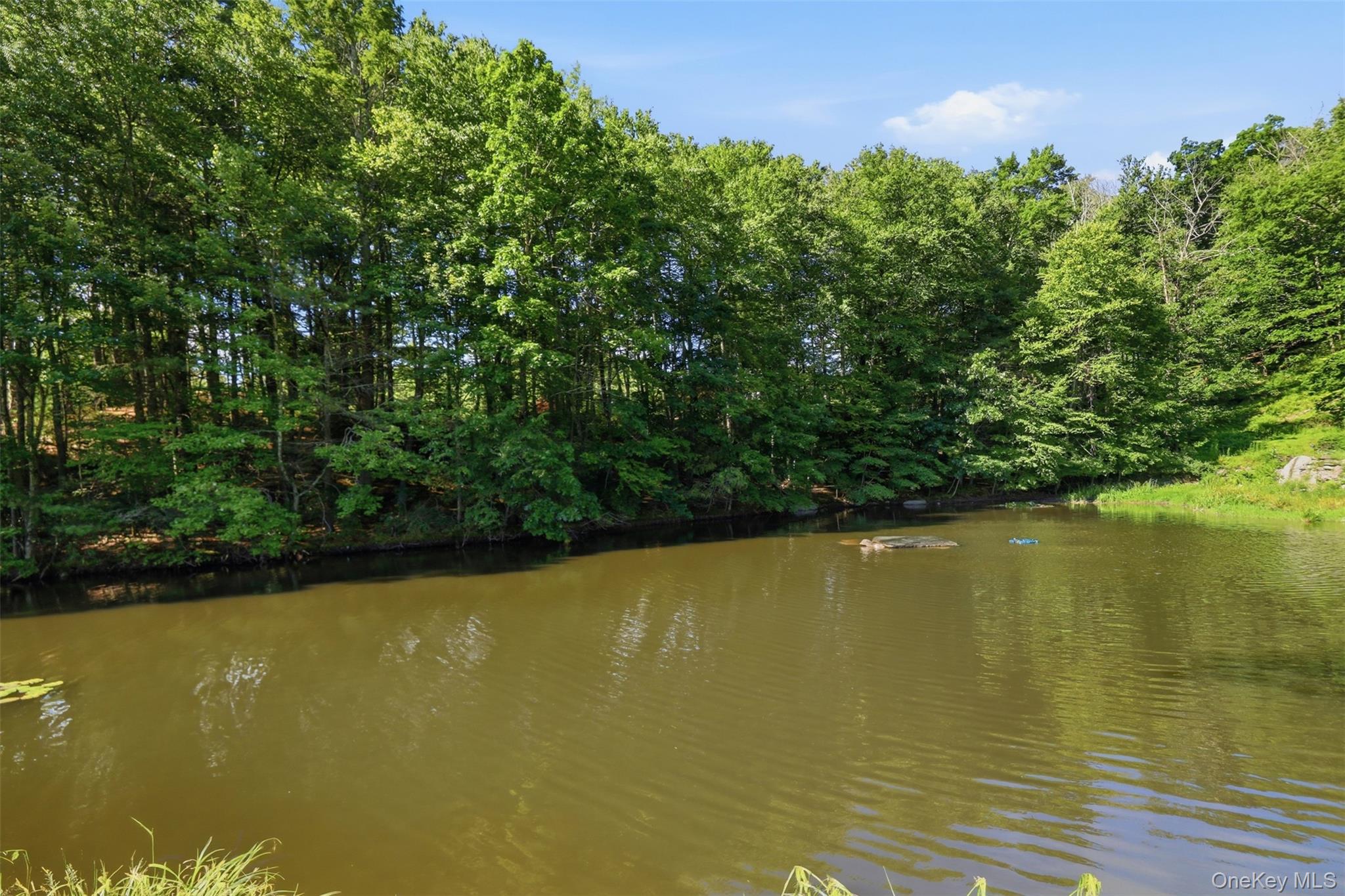 16 Buena Vista Point Property Photo 49
