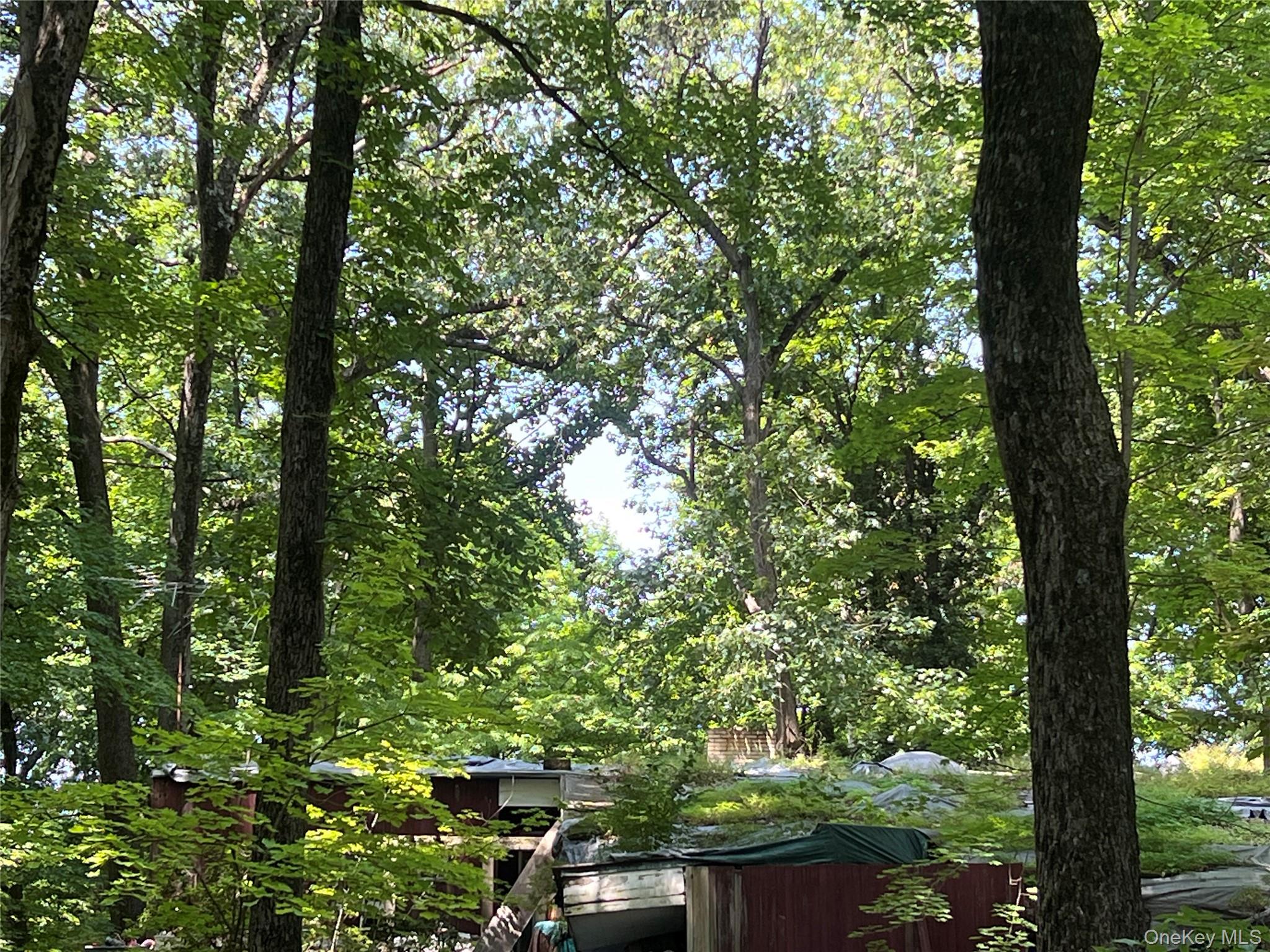 25 Hornbeck Ridge Property Photo 2