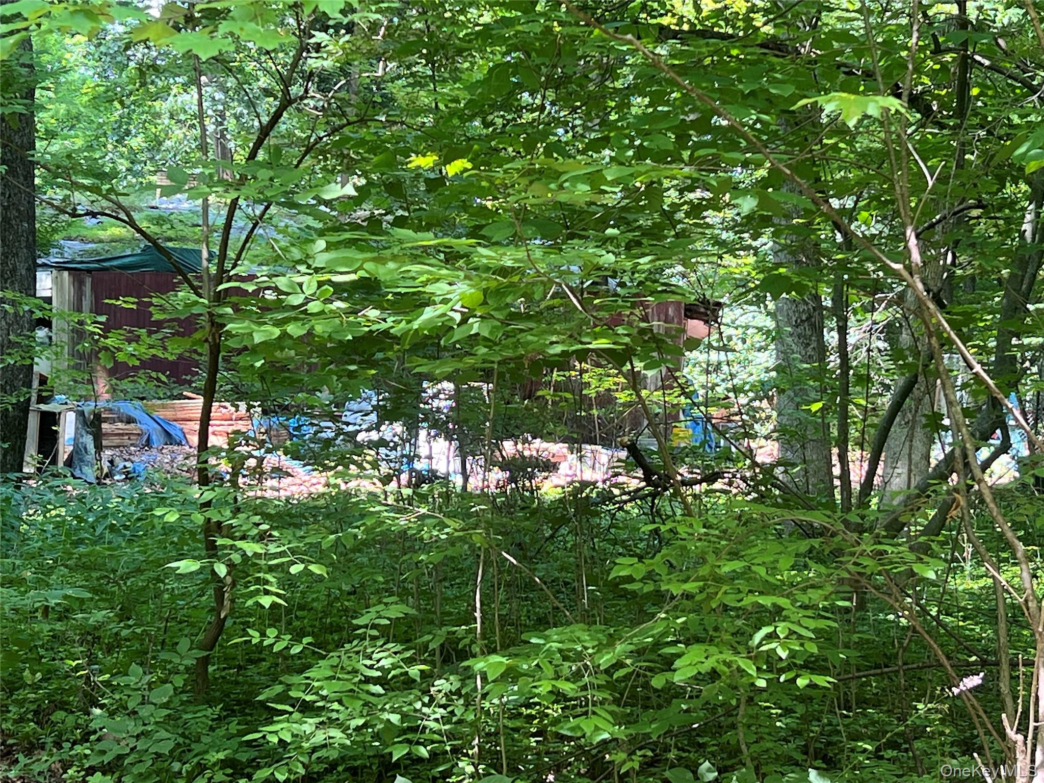 25 Hornbeck Ridge Property Photo 3
