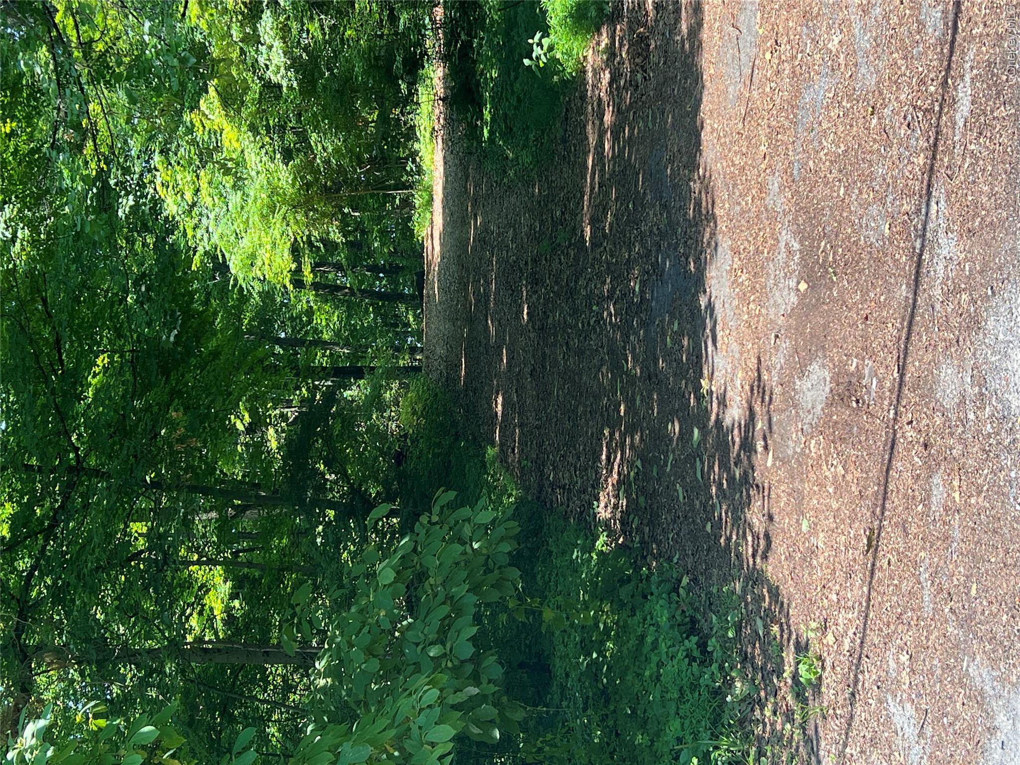 25 Hornbeck Ridge Property Photo 5