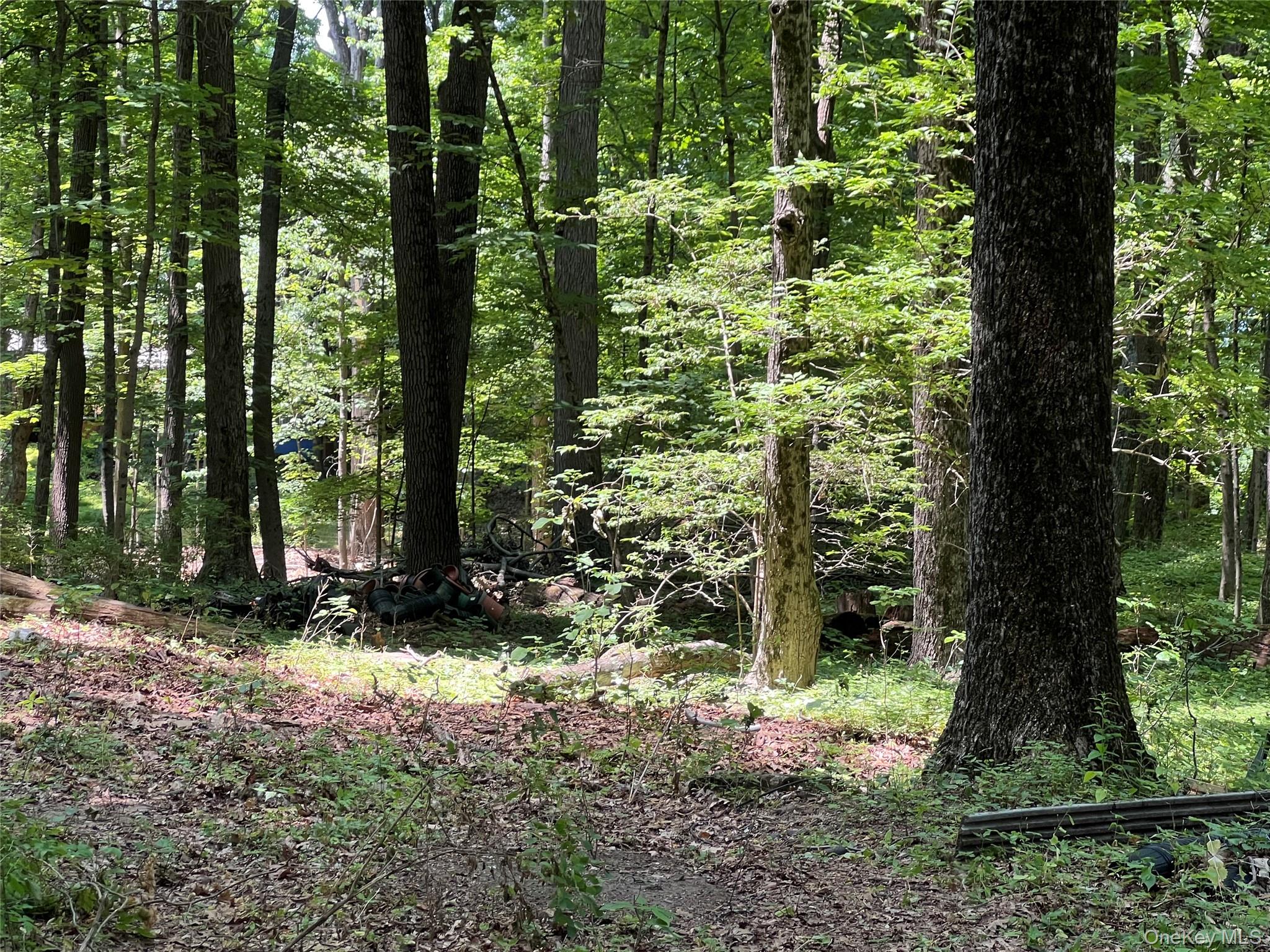 25 Hornbeck Ridge Property Photo 6